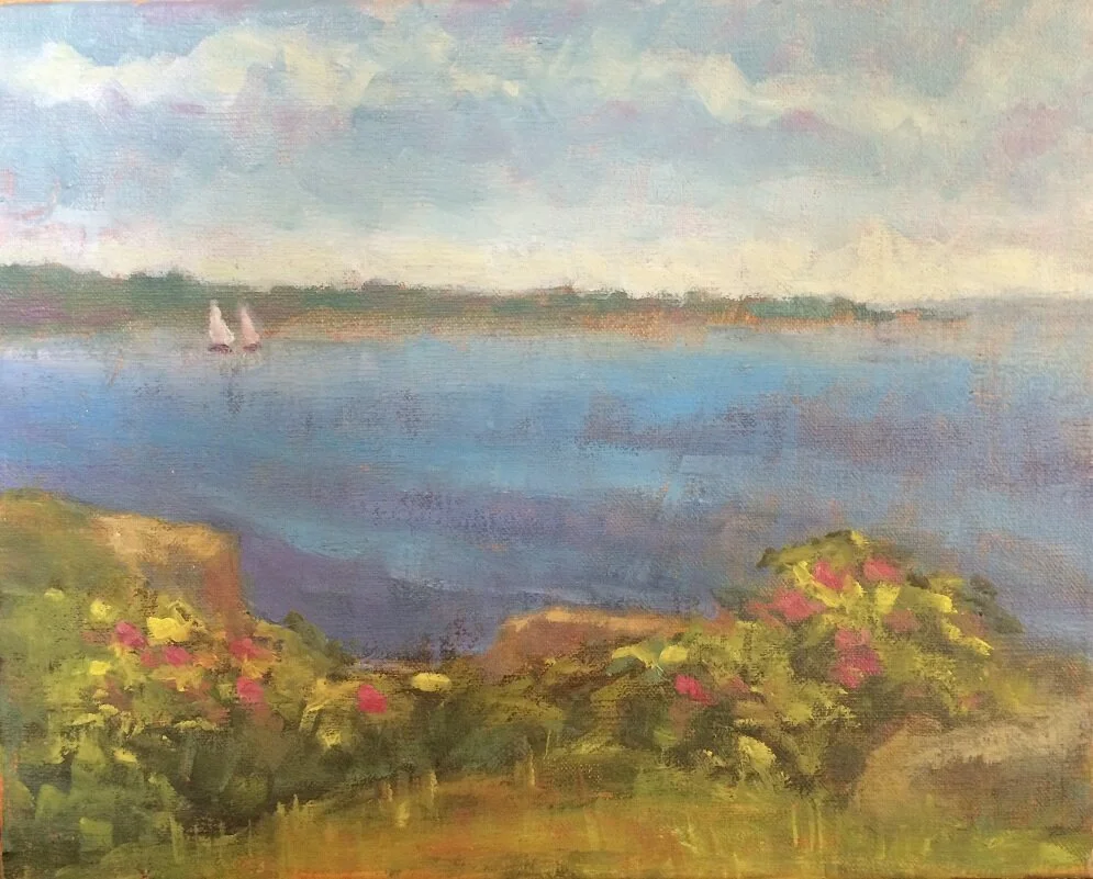 View from Beavertail Park.JPG