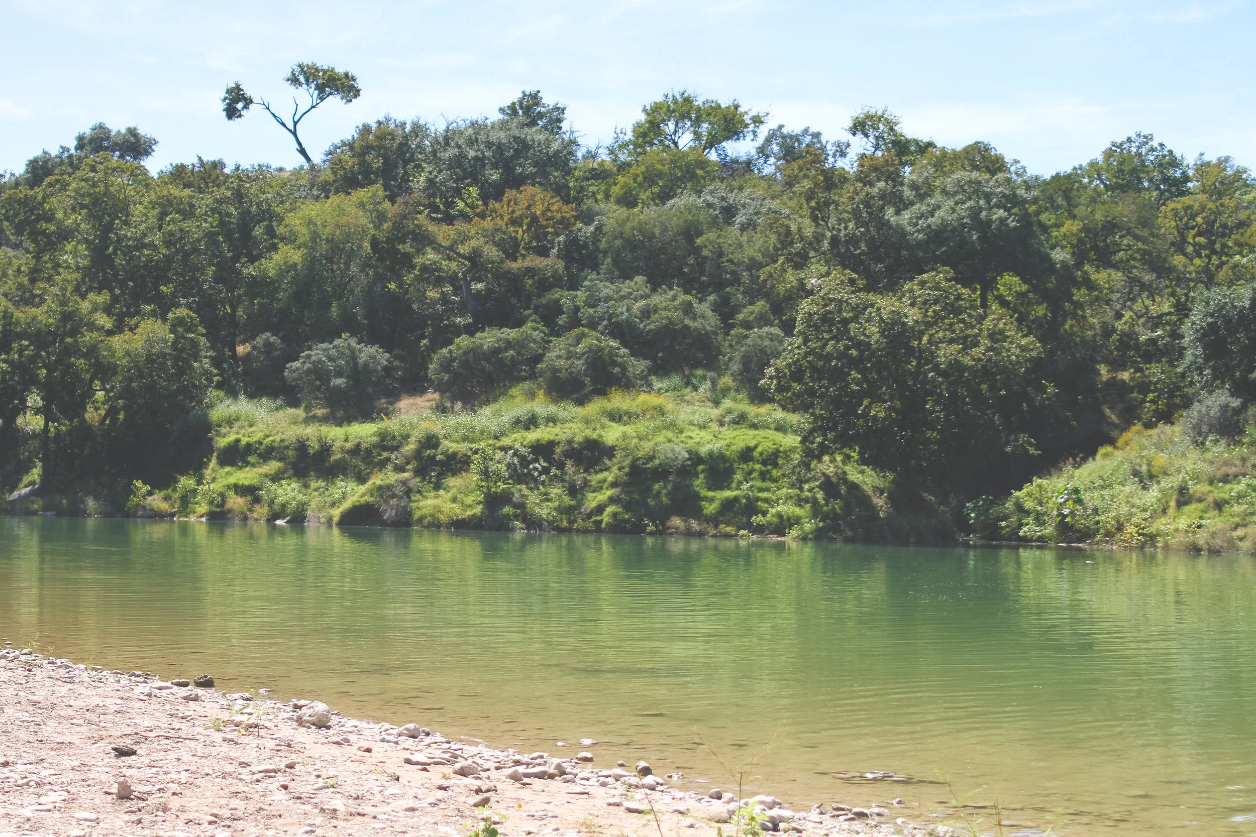 A Day in the Life -- Reimers Ranch