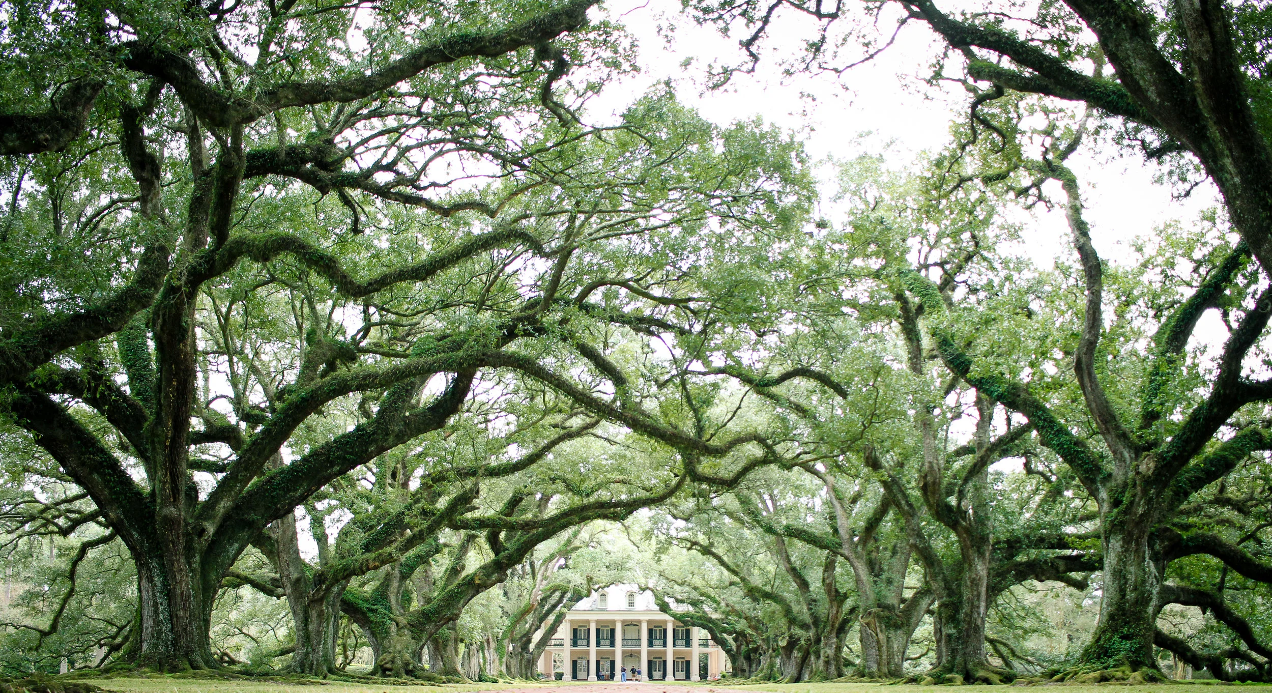 Day In The Life: Louisiana