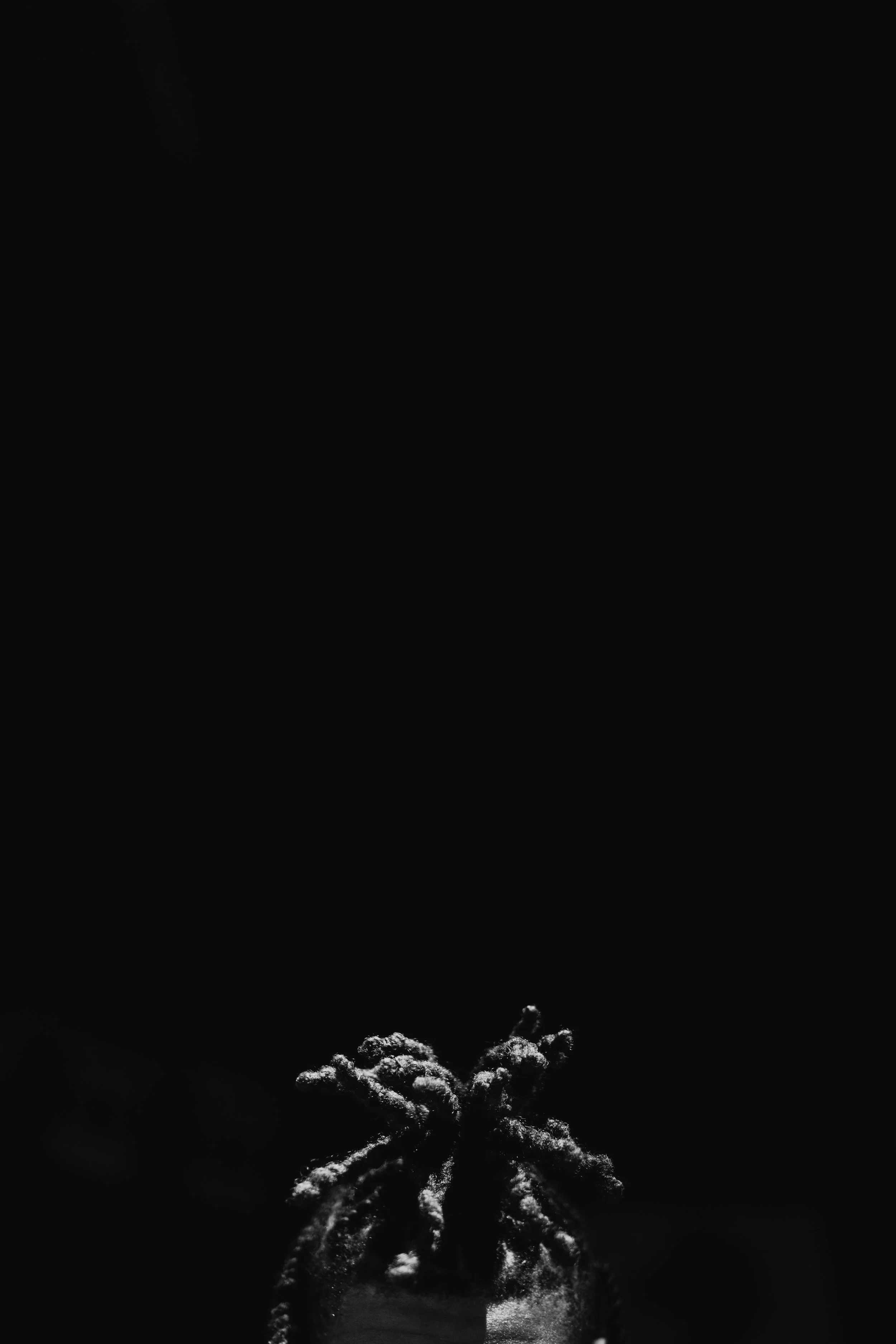 20250110-_TEG8494-Enhanced-NR.jpg