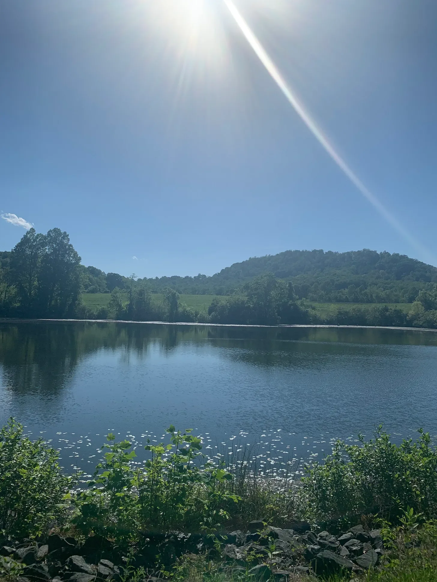 lake1.webp