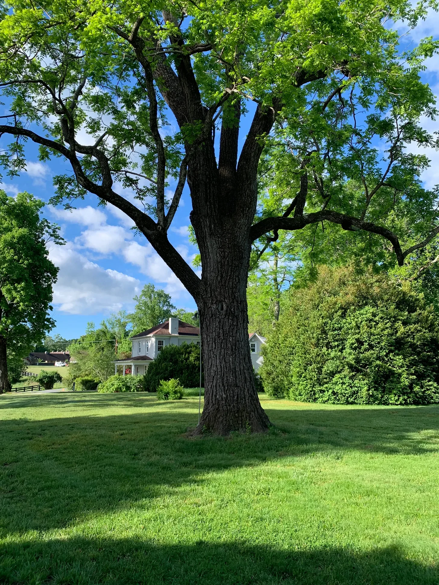 Ancestral Veneration- On a plantation