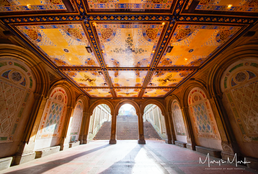 Traversing Through Central Park in New York City