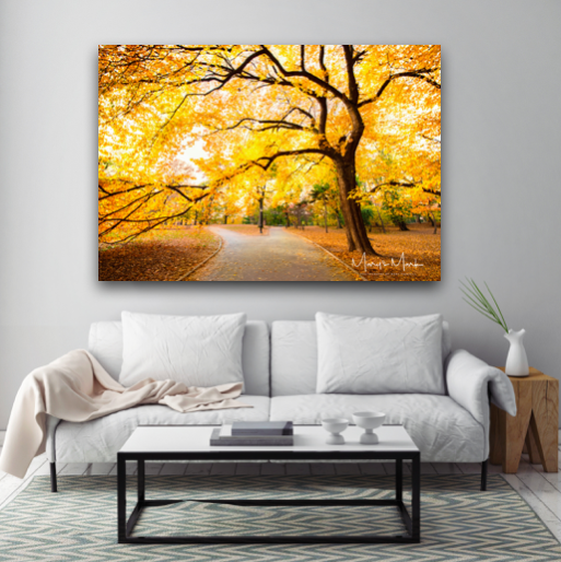 fine art photography of central park new york city