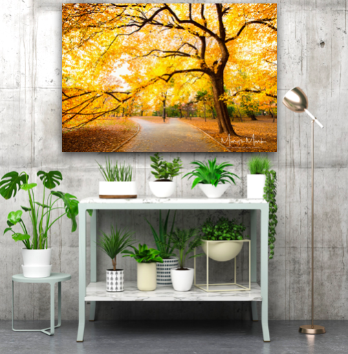 autumn landscape photography beautiful tree by mary parkhill