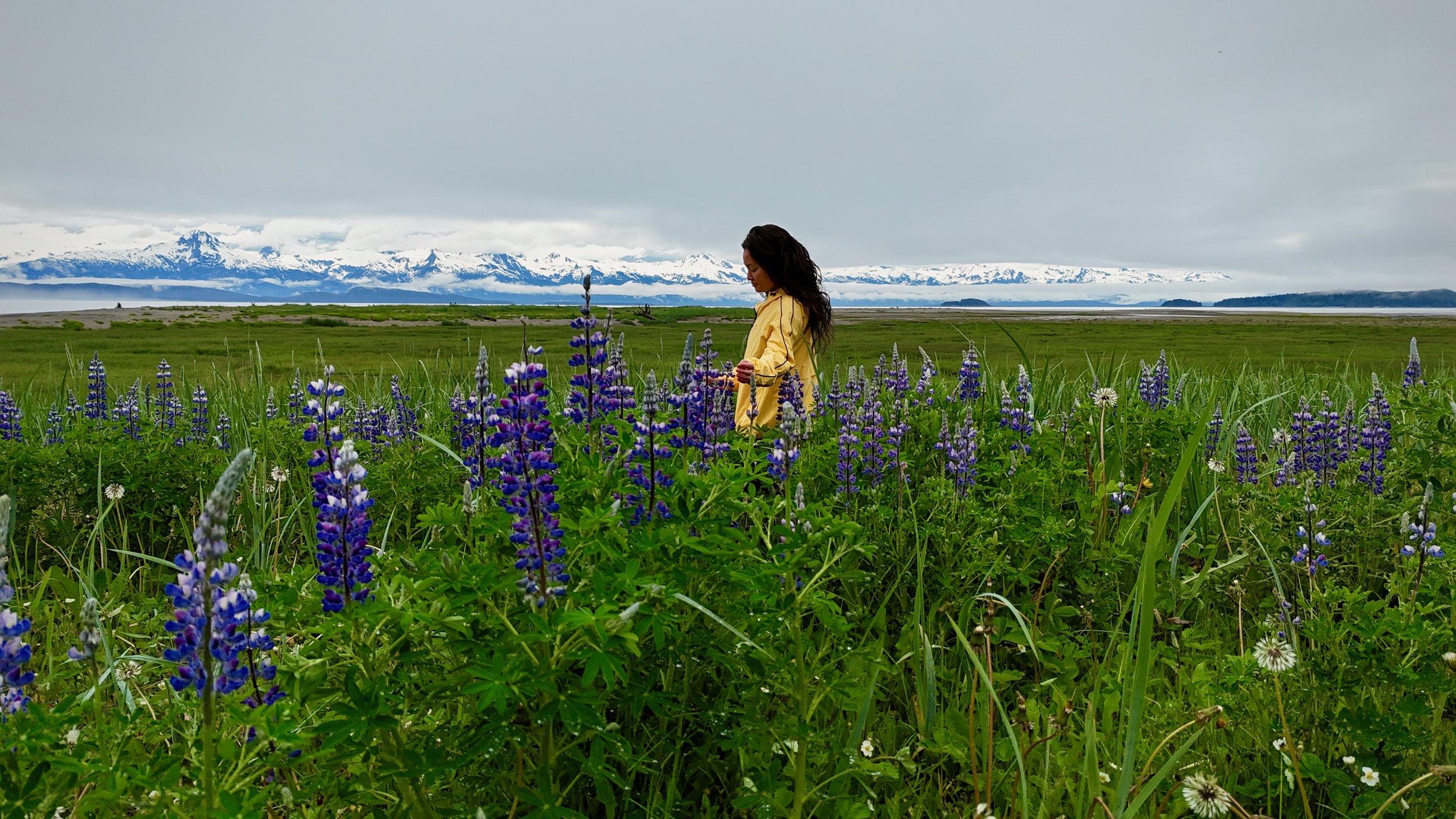 A woman in a yellow jacket standing amidst purple and white wildflowers in a green field with snow-capped mountains in the background under a cloudy sky.