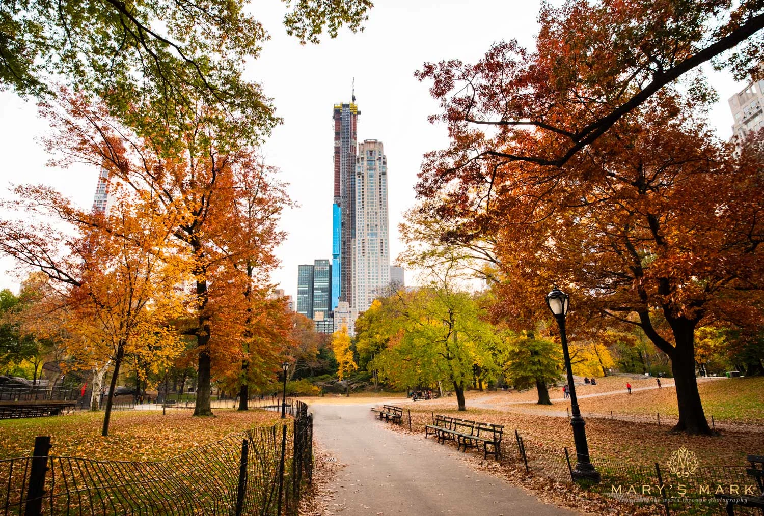 NYC-View-from-Central-Park-by-Mary-Parkhill.jpg