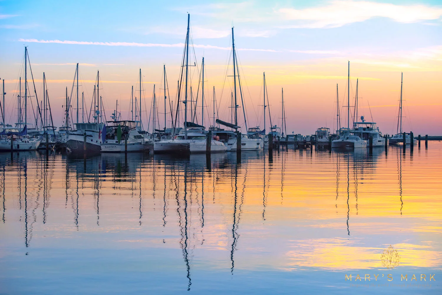 Sail Away - St. Petersburg, FL