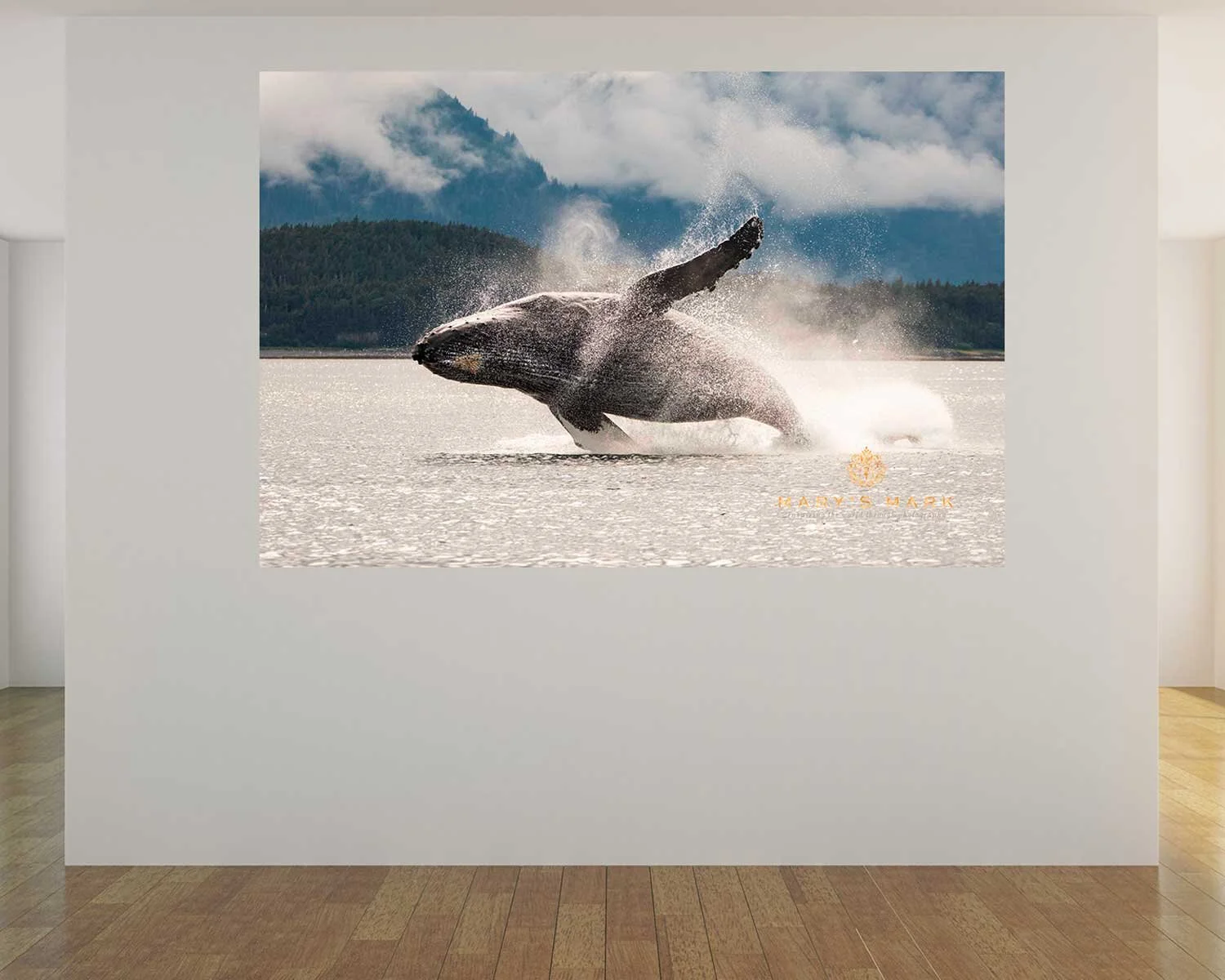 fine-art-humpback-whale.jpg