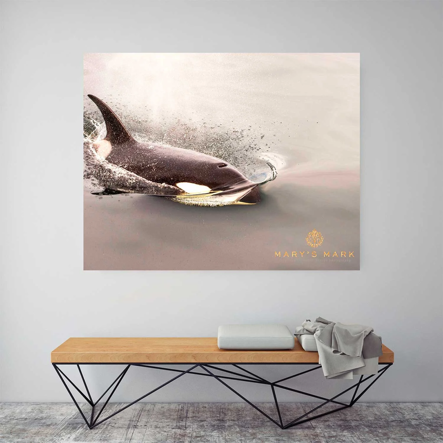 alaska-orca-fine-art-photography.jpg