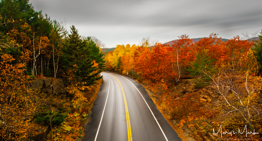 Acadia National Park Road | Mary's Mark Photography
