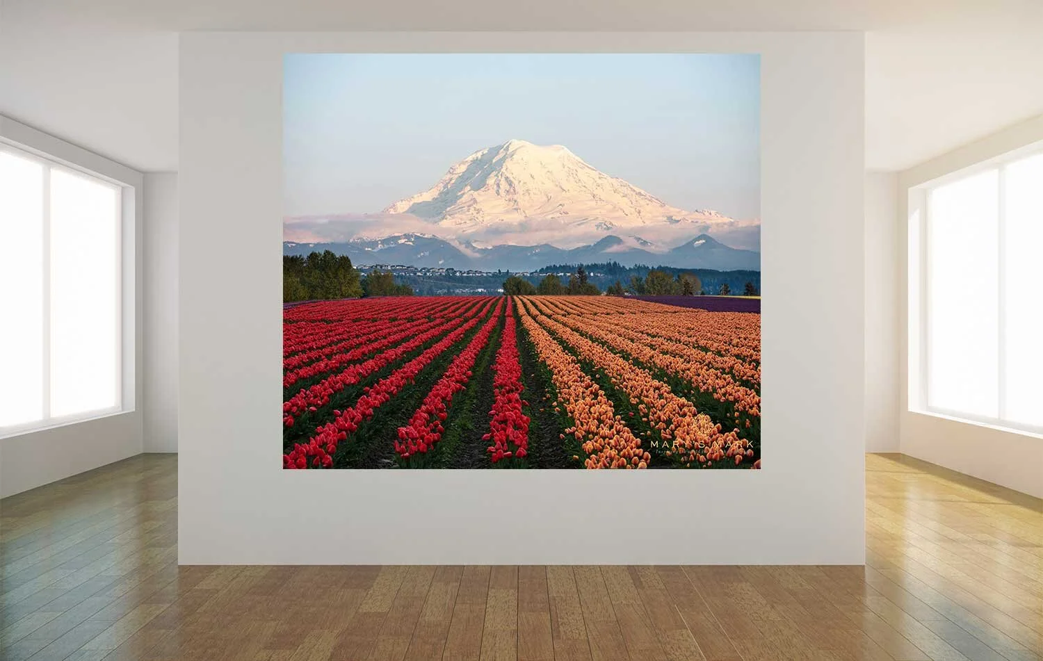 Mount-Rainier-and-Tulips-from-Washington-by-Mary-Parkhill.jpg