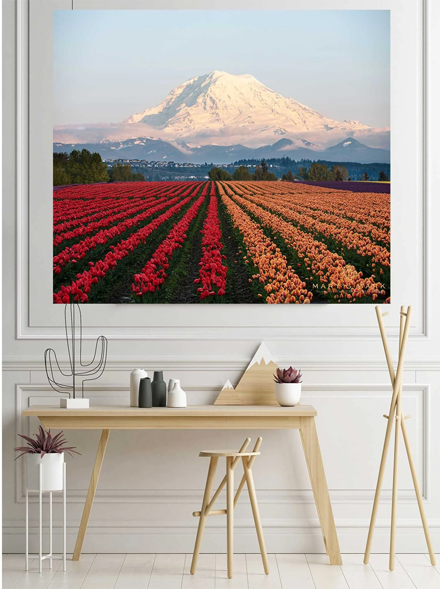 Large-Canvas-of-Tulips-and-Mountains-from-Washington-by-Mary-Parkhill-of-Mary's-Mark-Photography.jpg