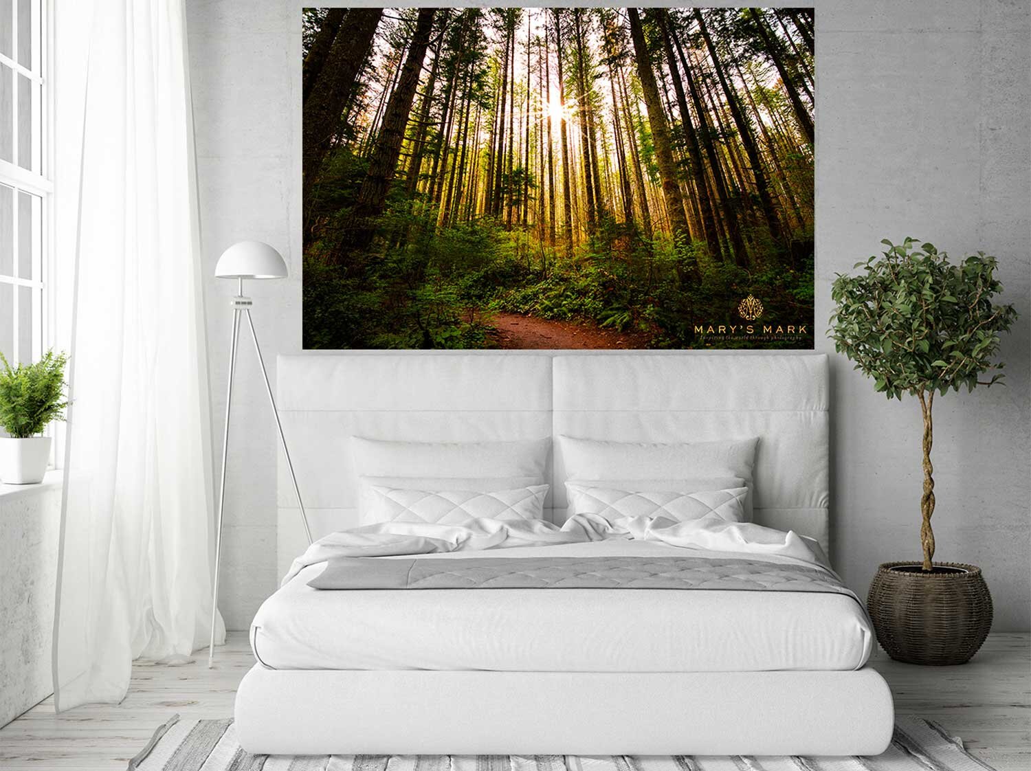 washington-state-landscape-photography-of-forest.jpg