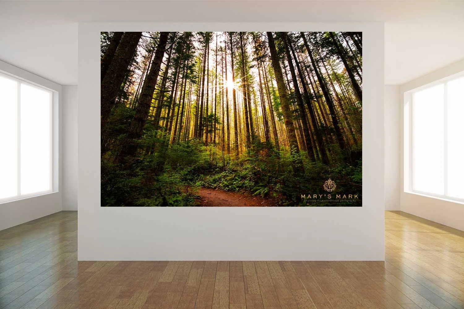 forest-with-sunburst-large-canvas-artwork-by-mary-parkhill 2.jpg