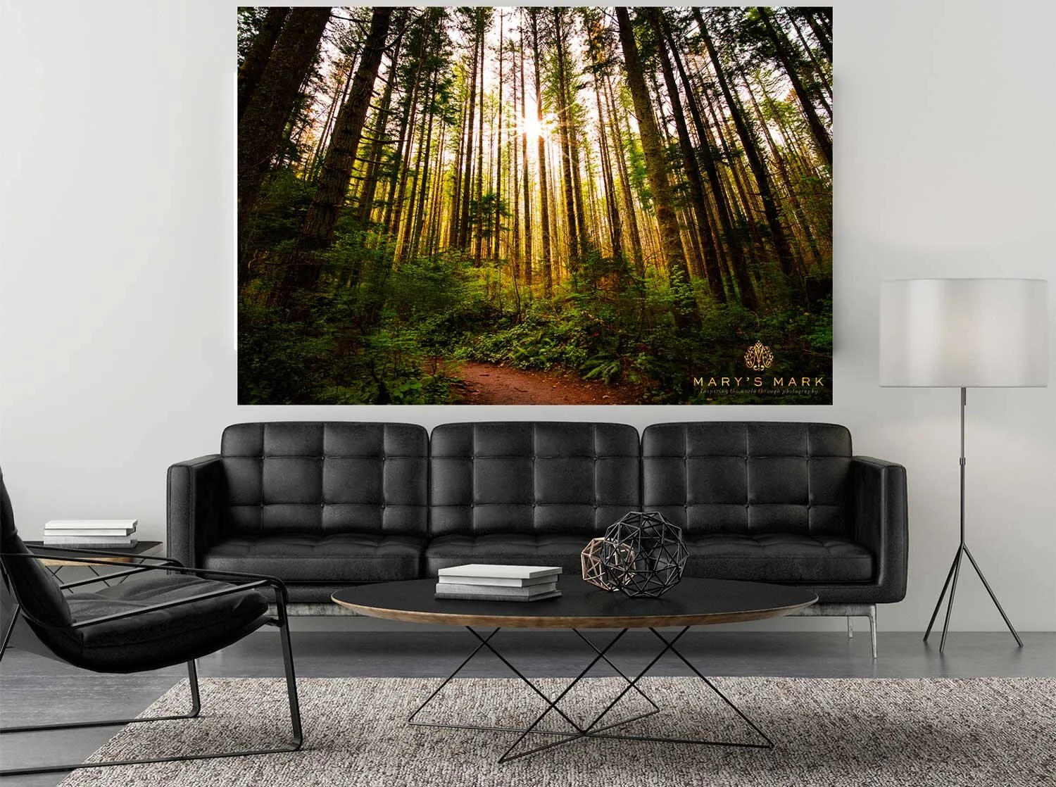 commercial-photography-nature-scene-in-office-by-mary-parkhill.jpg