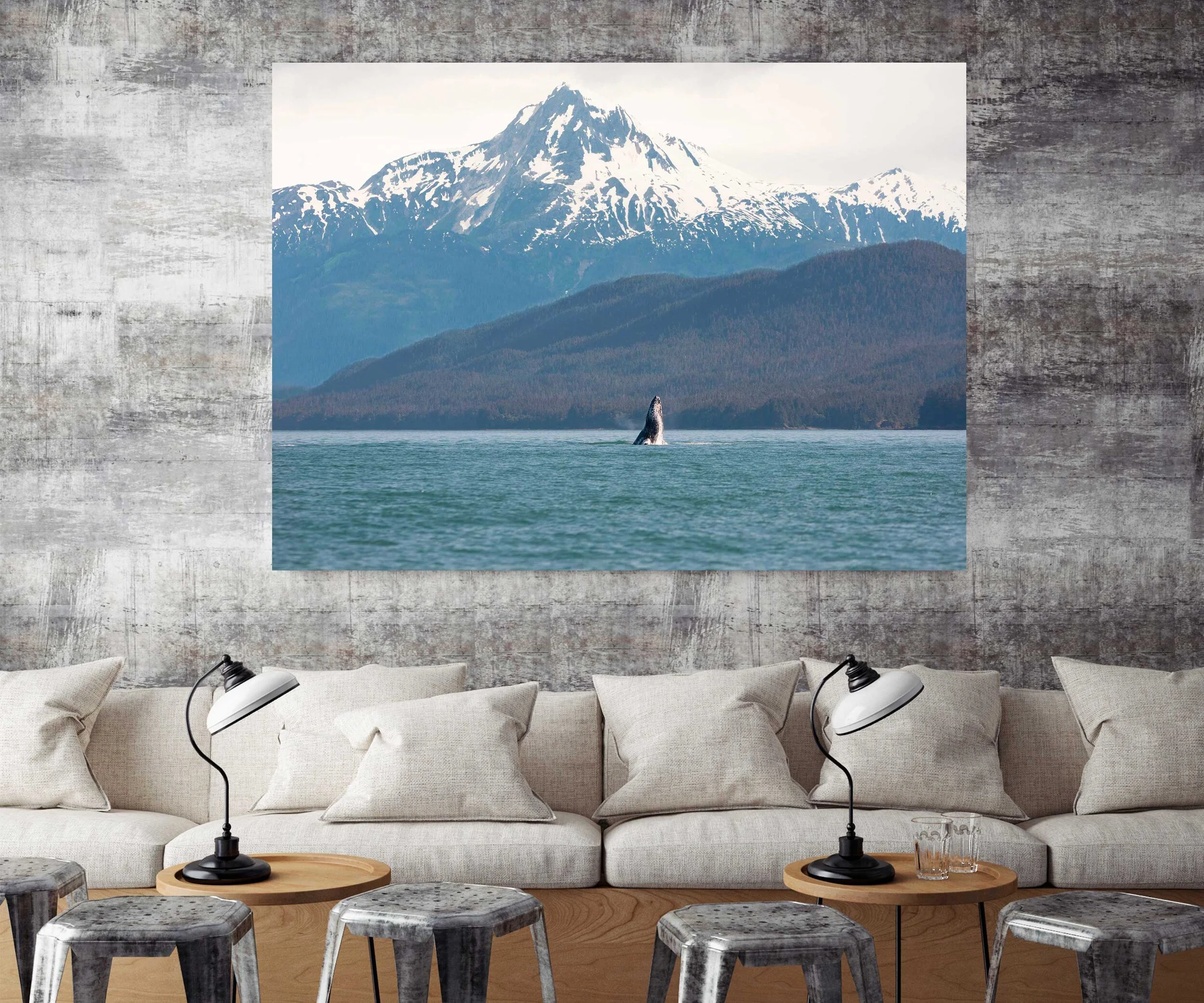 humpback whale commercial