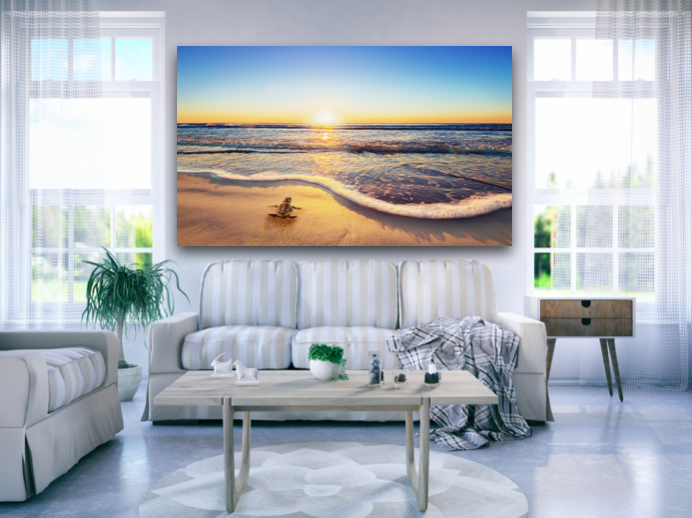 Beach Photograph of Sea Turtle and Ocean by Mary Parkhill.png