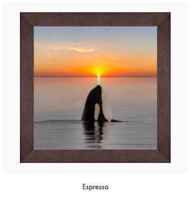 Screen Shot 2021-08-06 at 8.30.45 PM.png