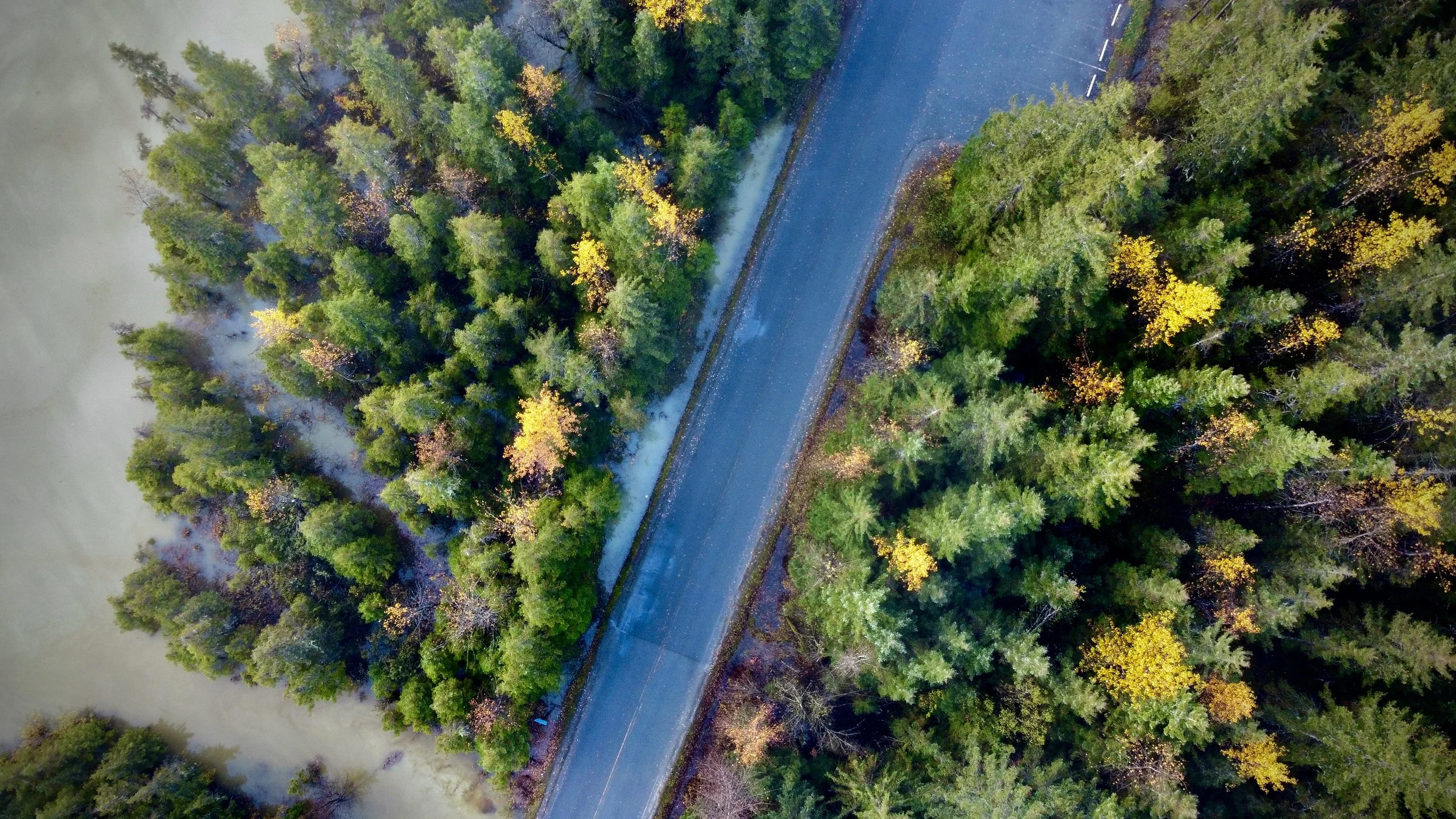 Autumn in Alaska - changing leaves and a shifting perspective