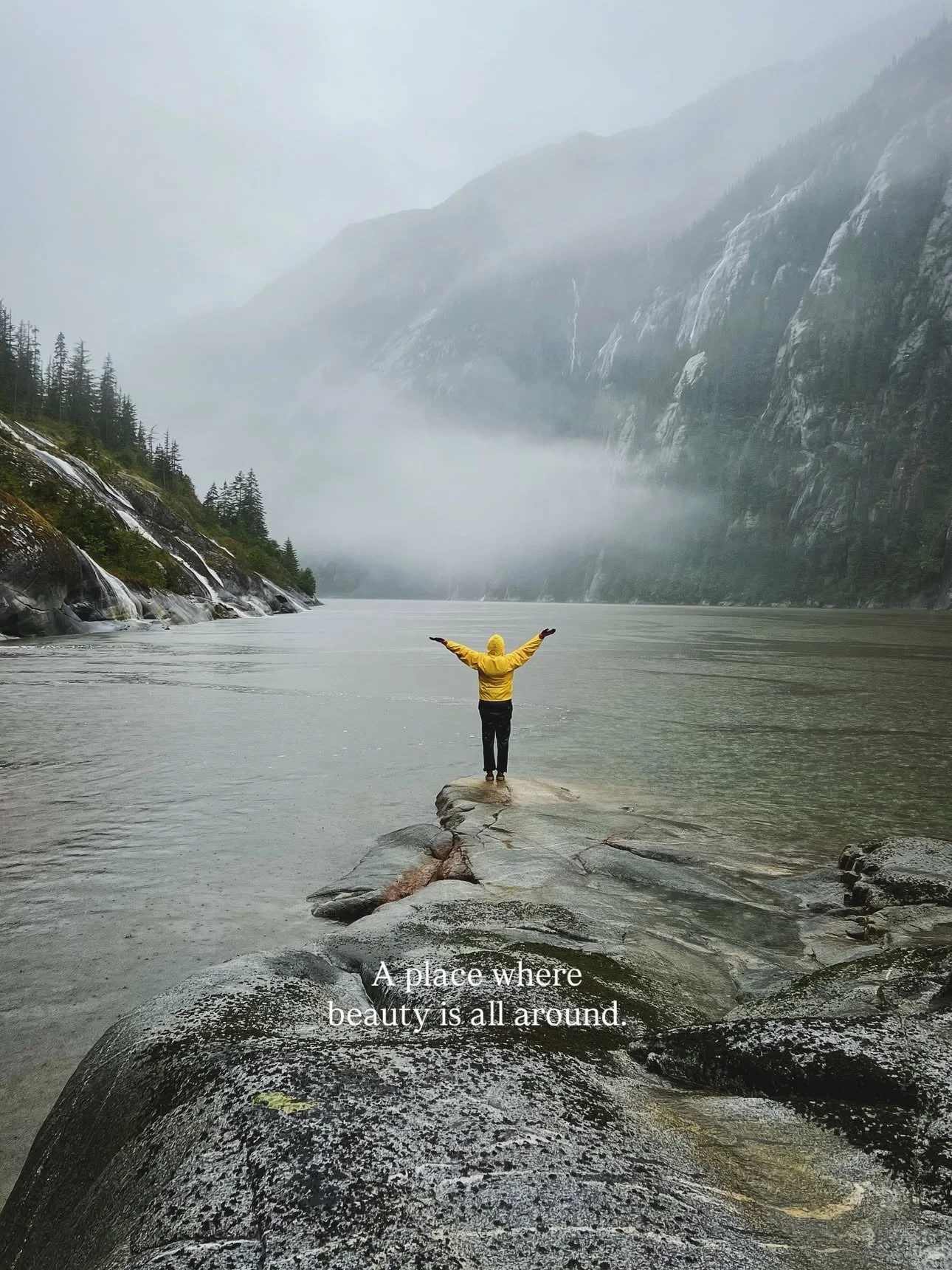 Ford’s Terror – Where the Wild Paints Its Own Story