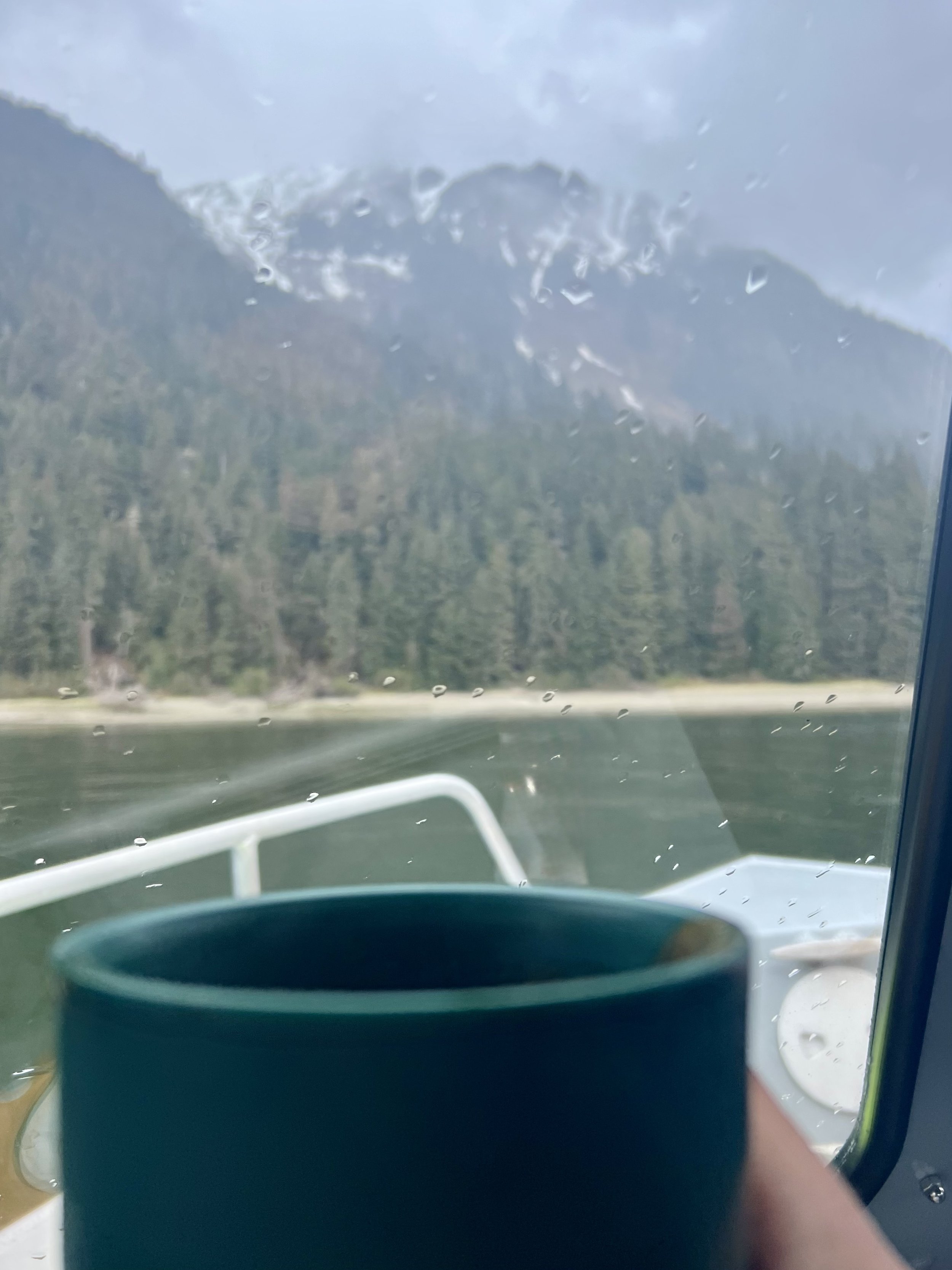 How I Use Alaska Serenity Herbal Tea to Calm Overstimulated Evenings