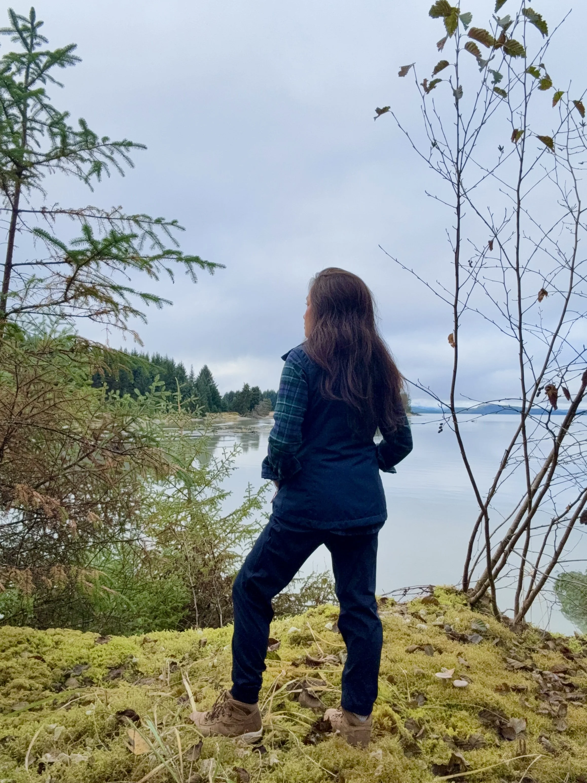 Morning Tea Ritual for Calm Focus (Alaska Edition)