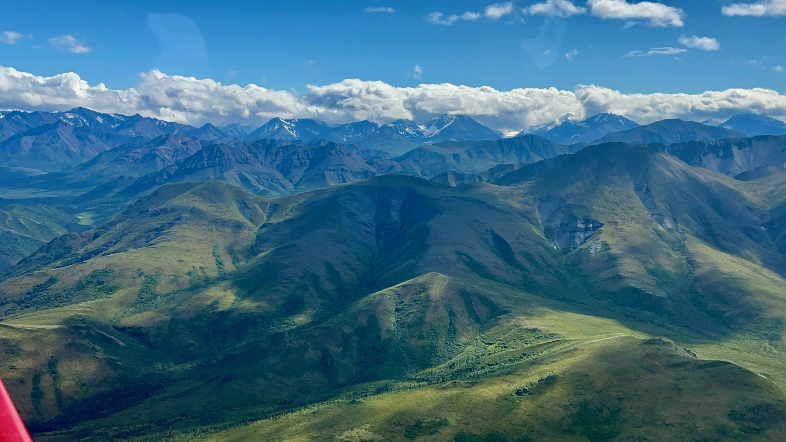 A First-Timer’s Guide to Denali National Park in 2026