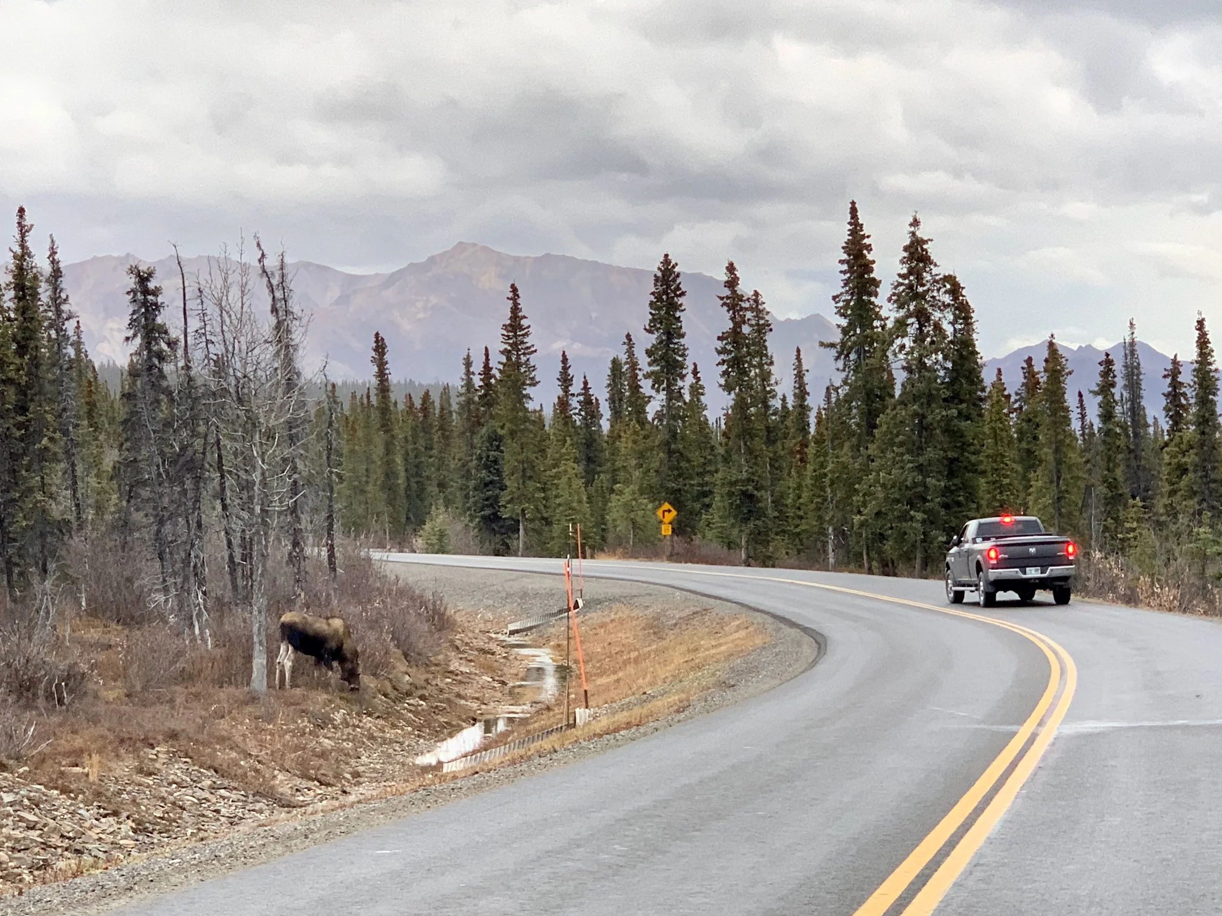 How Many Days Do You Need in Denali? What I’d Actually Recommend