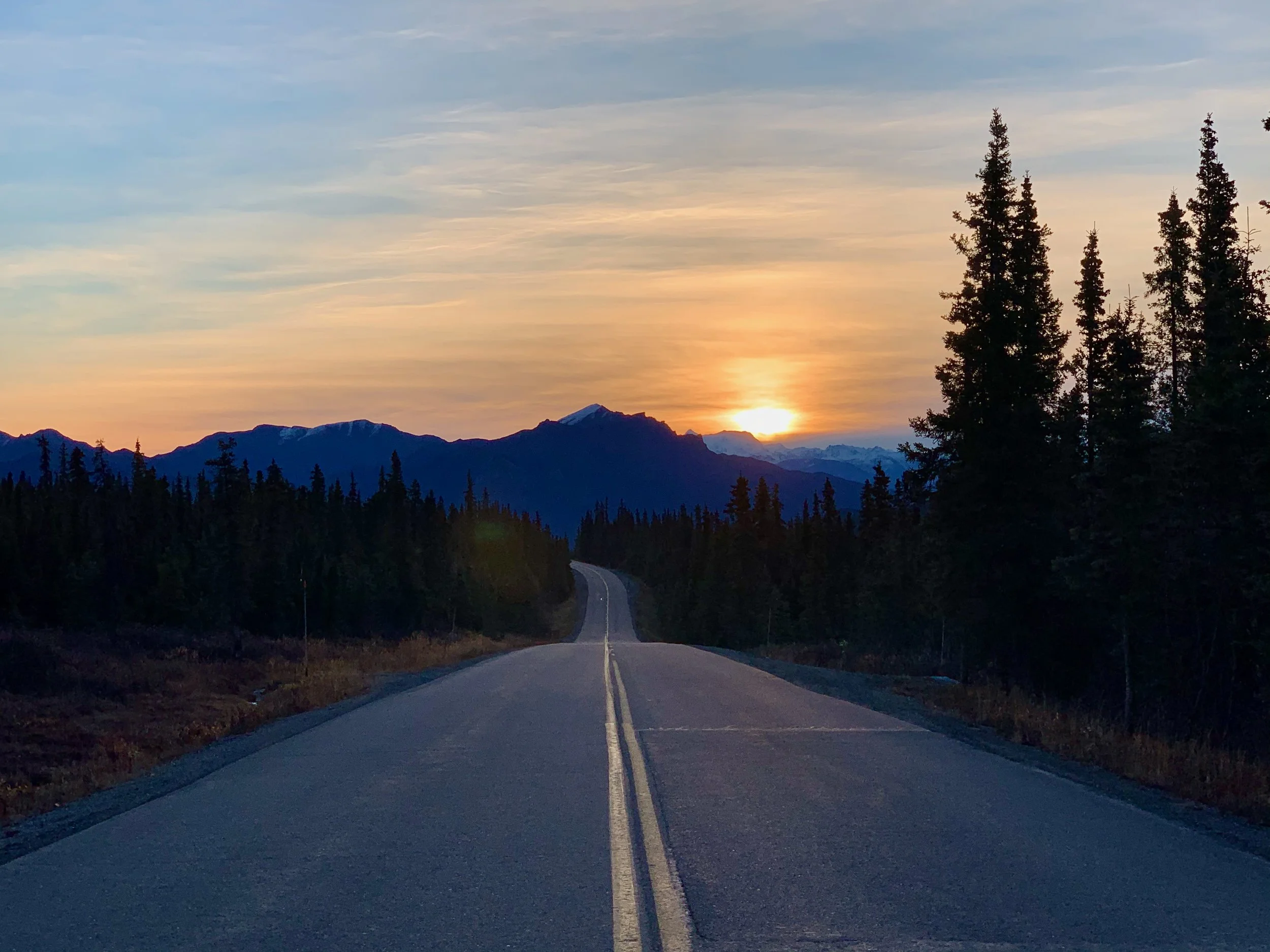 Denali Bus Tours vs. Transit Buses: Which One Is Actually Right for Your Trip?