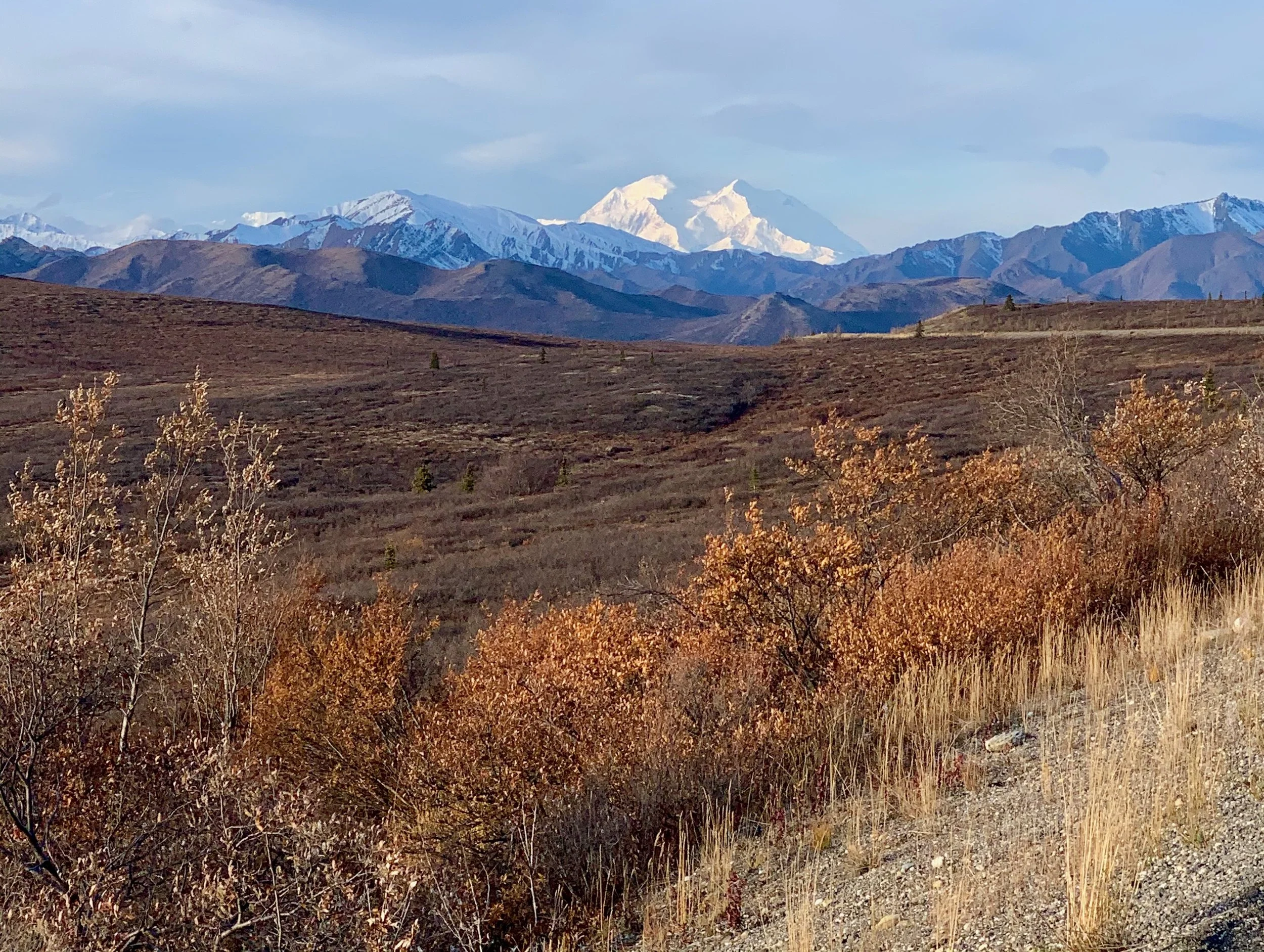 2 Days in Denali: The Itinerary I’d Recommend for First-Time Visitors
