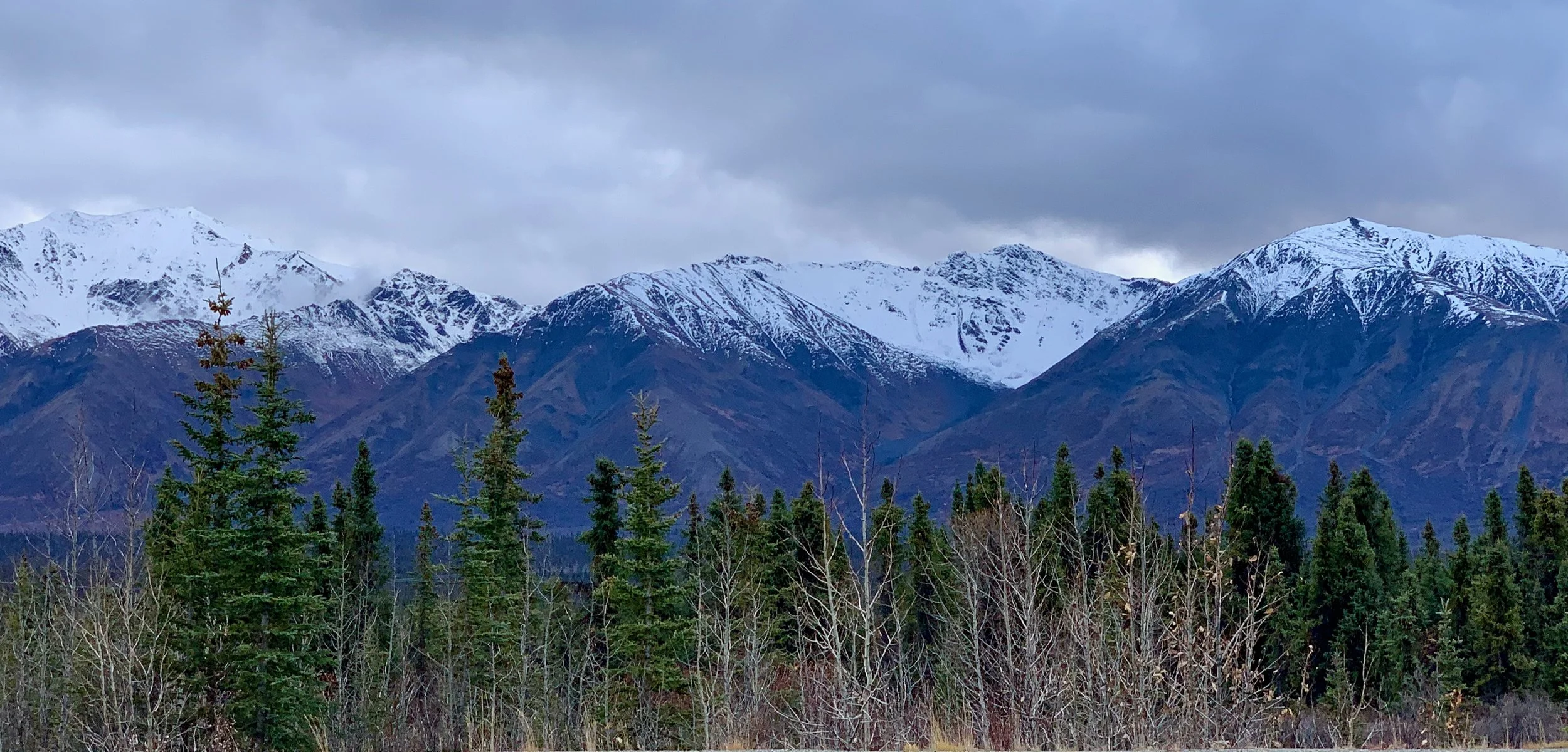 1 Day in Denali: What to Do If You’re Short on Time