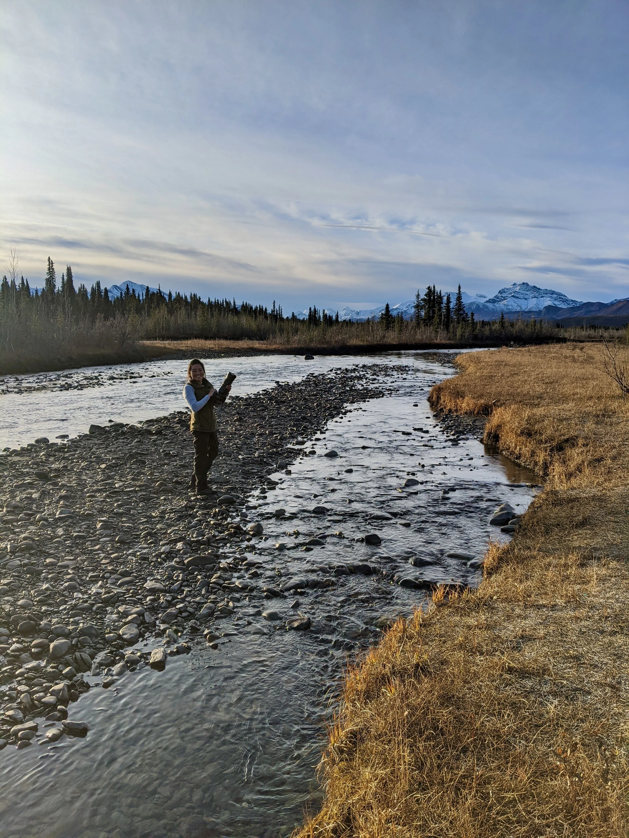 How Many Nights in Denali Do You Need? A Guide to 3 or More Nights