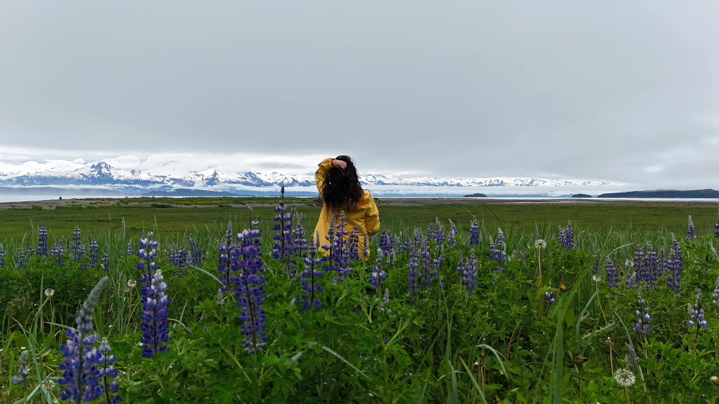 Field Note: The Week Alaska Tipped Into Summer