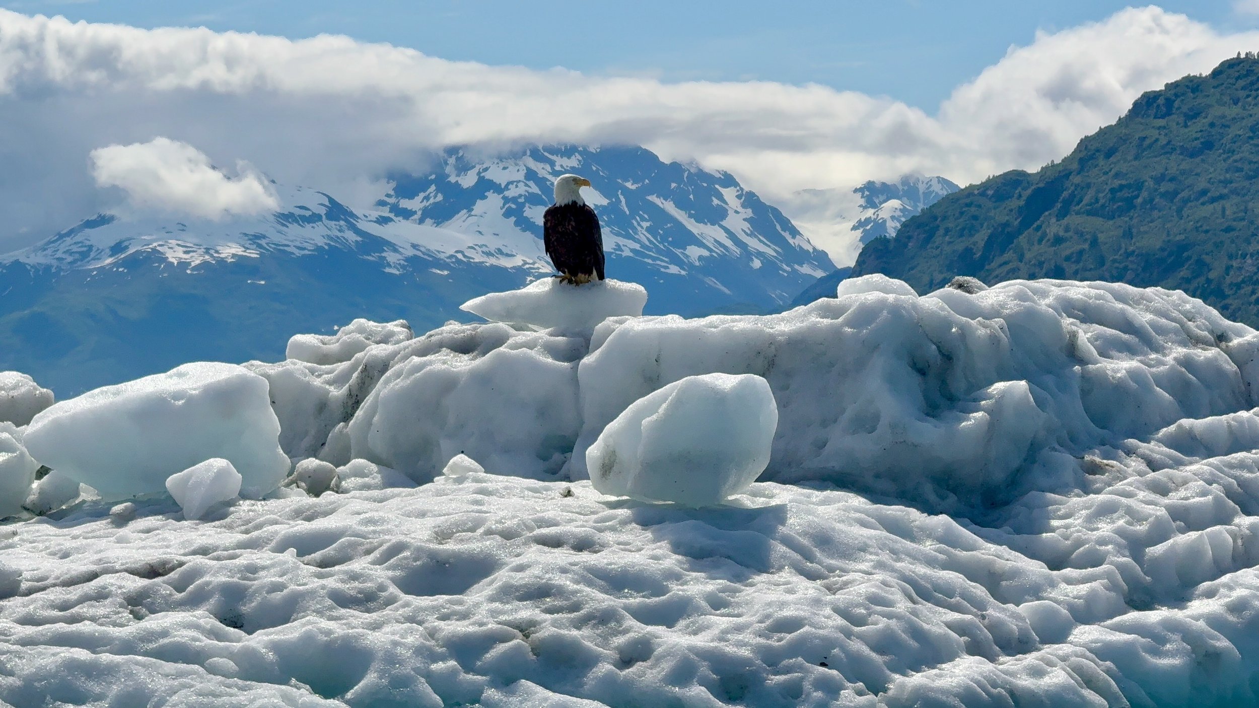 Six Days in Glacier Bay: What It's Really Like to Explore Alaska's Wildest National Park by Private Boat