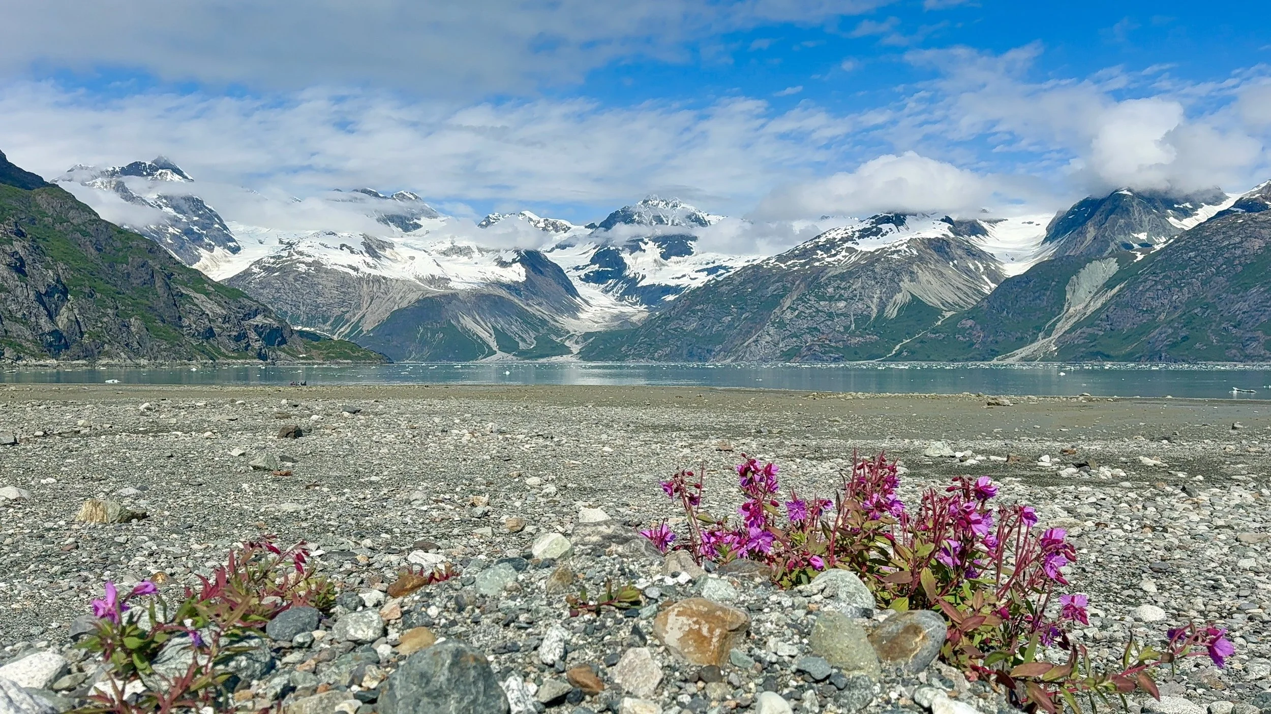 Best Alaska Experiences: What to Book and What to Explore Independently