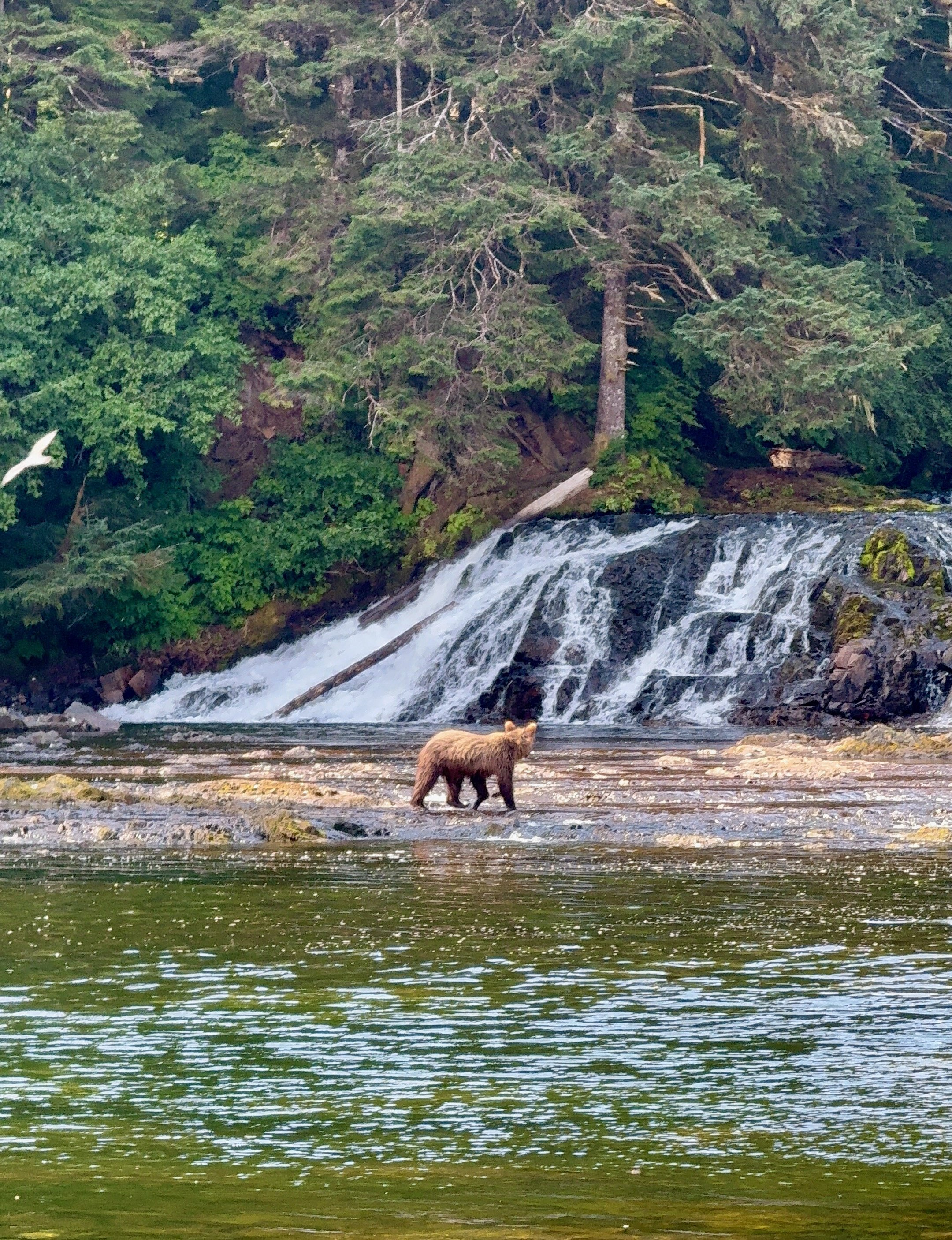 Alaska Field Note: On the Edge of the Cooler Season