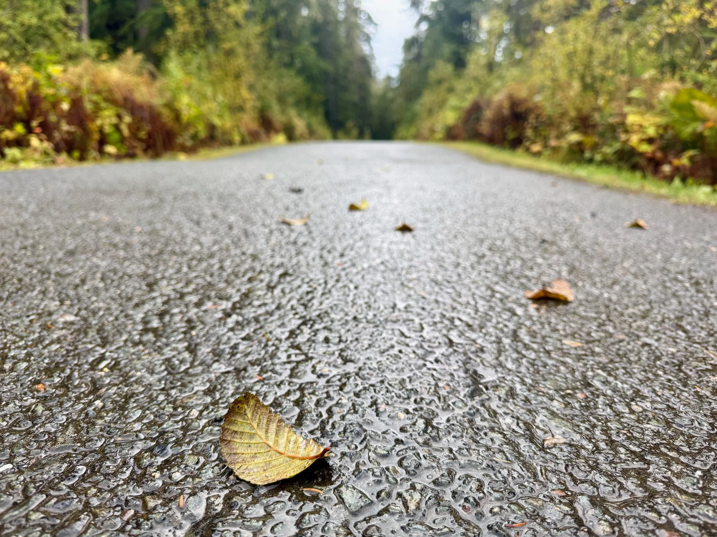 Field Note: Juneau in October - When the Town Grows Quiet