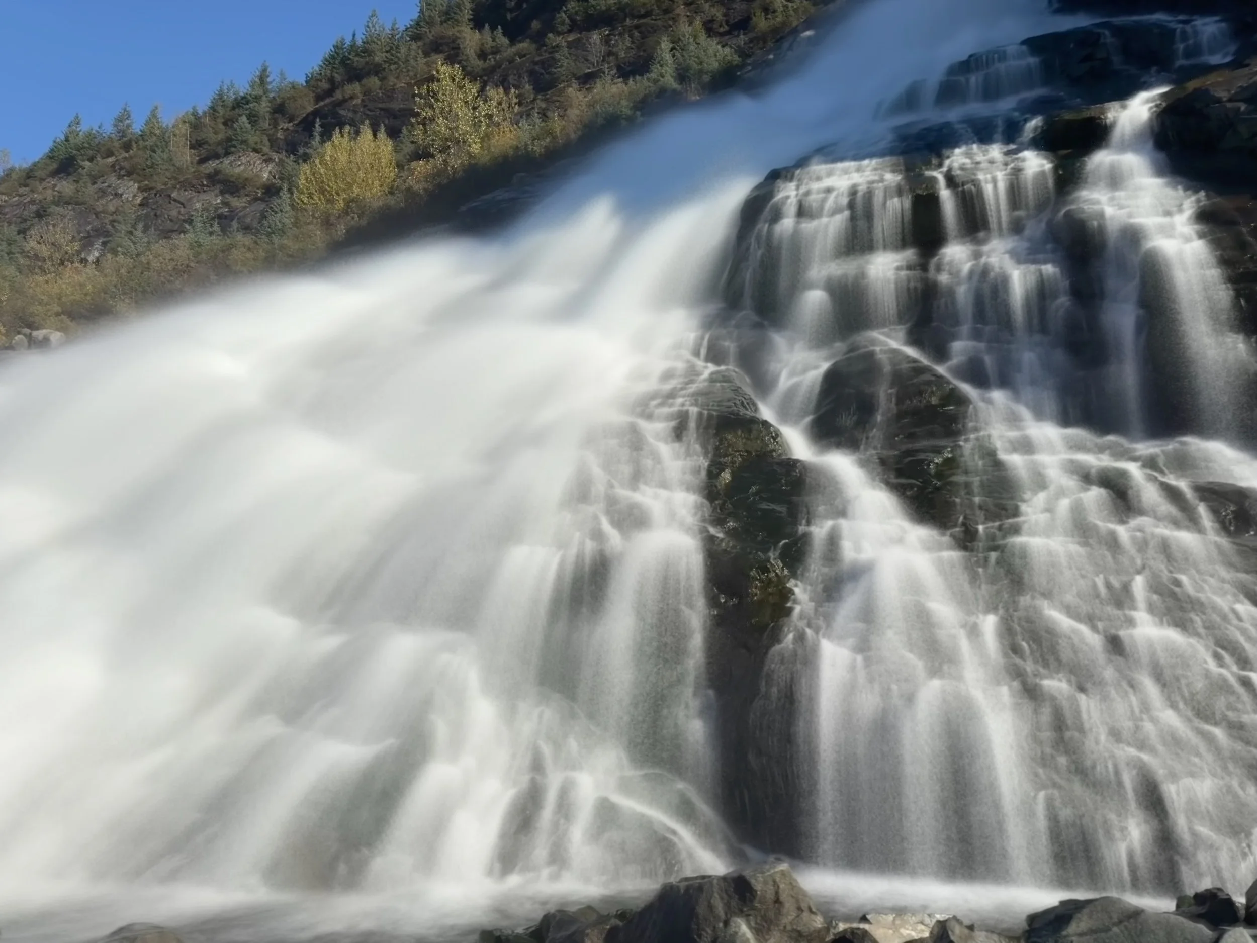 Field Note: An October Walk at Mendenhall: A Bear, Frost, and Nugget Falls