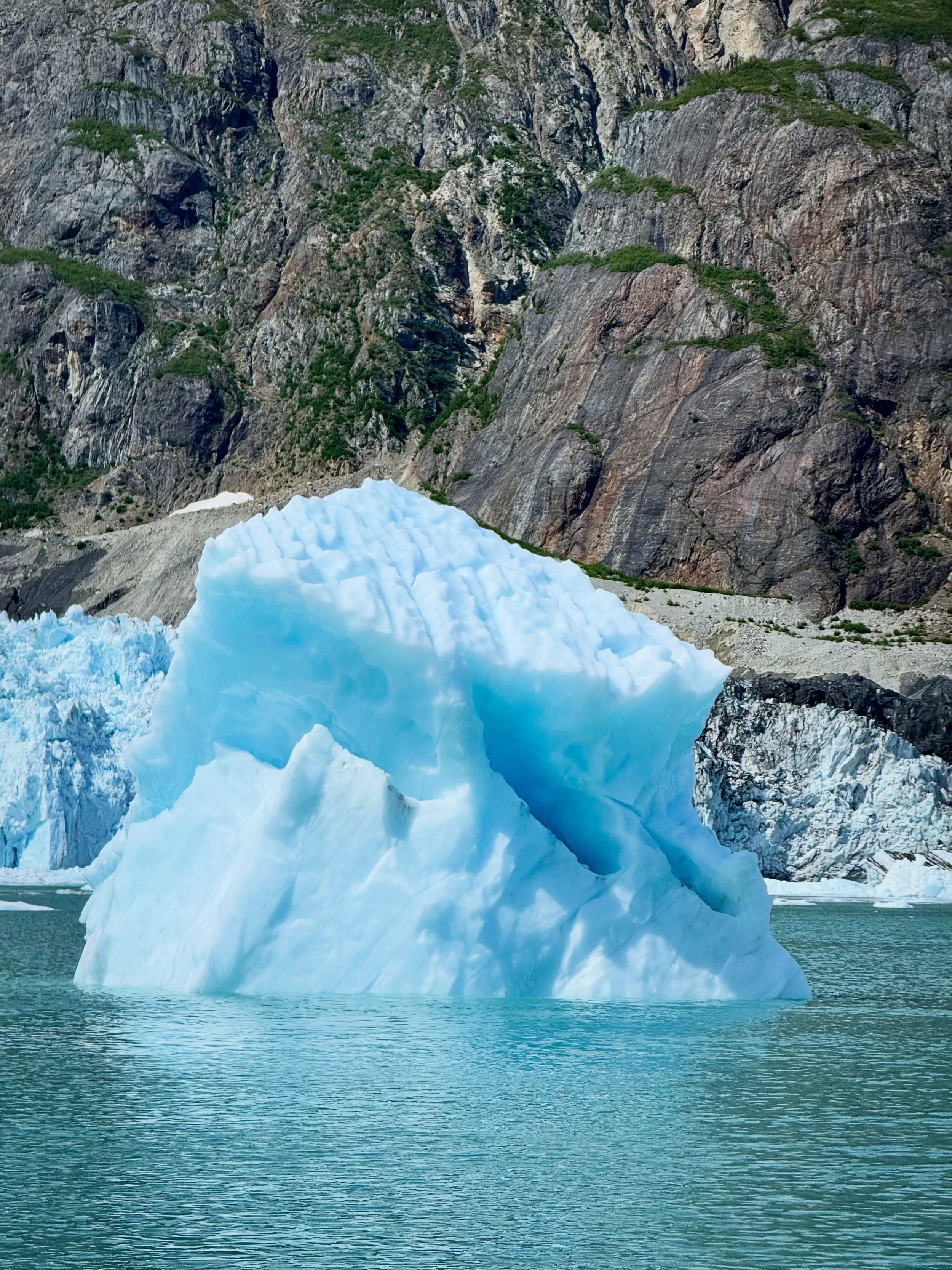 A large iceberg floating in a body of water with rugged rocky cliffs and patches of green vegetation in the background.