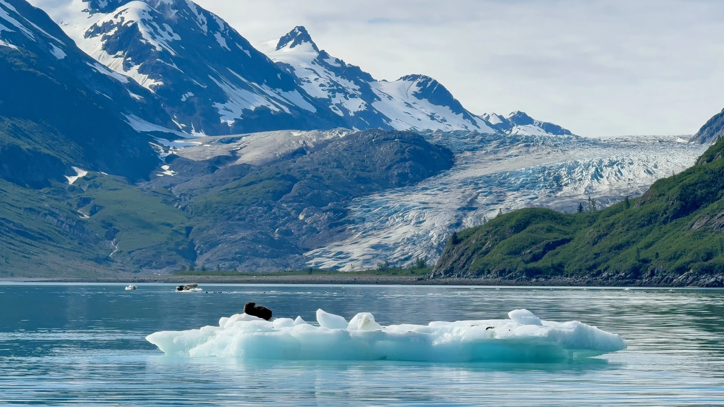 A scenic view of a mountain range in Glacier Bay National Park with snow-capped peaks and green slopes next to a body of water with floating ice pieces.