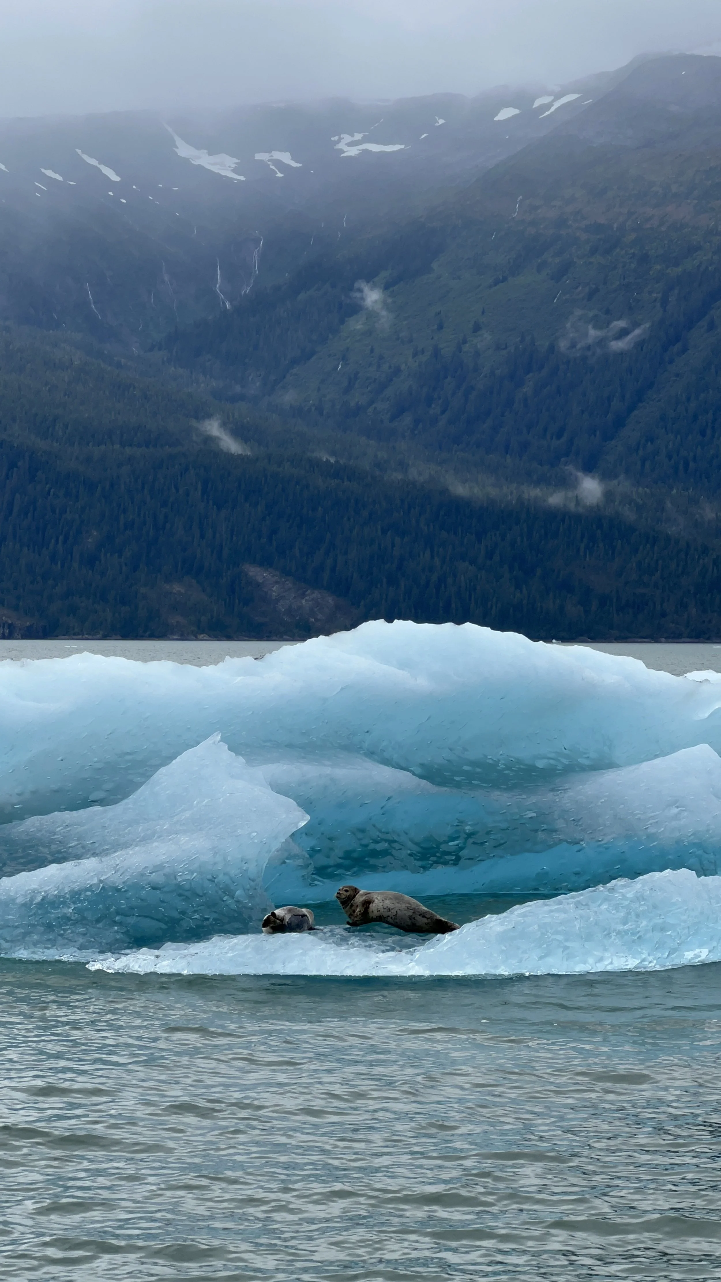 Drifters on the Blue
