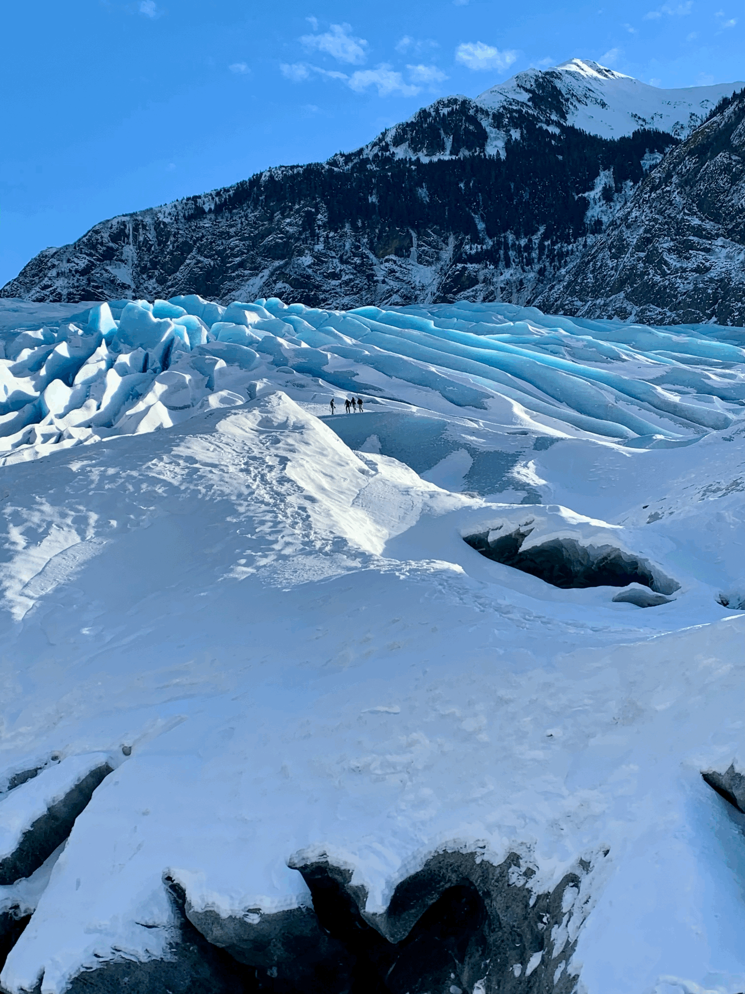 Tiny on the Mendenhall