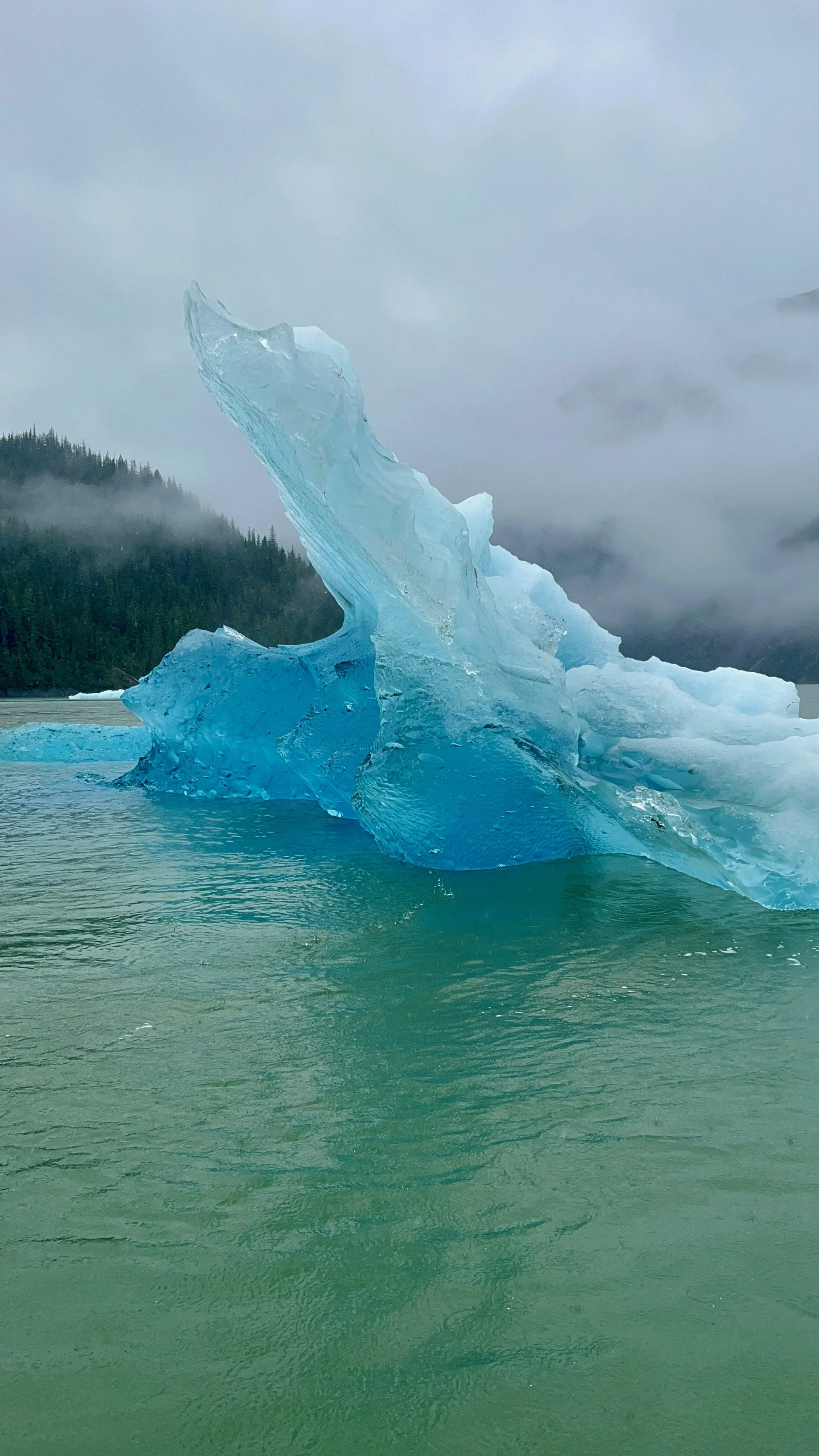 A large, blue iceberg floating in a calm body of water with a forested, mountainous landscape and fog in the background.