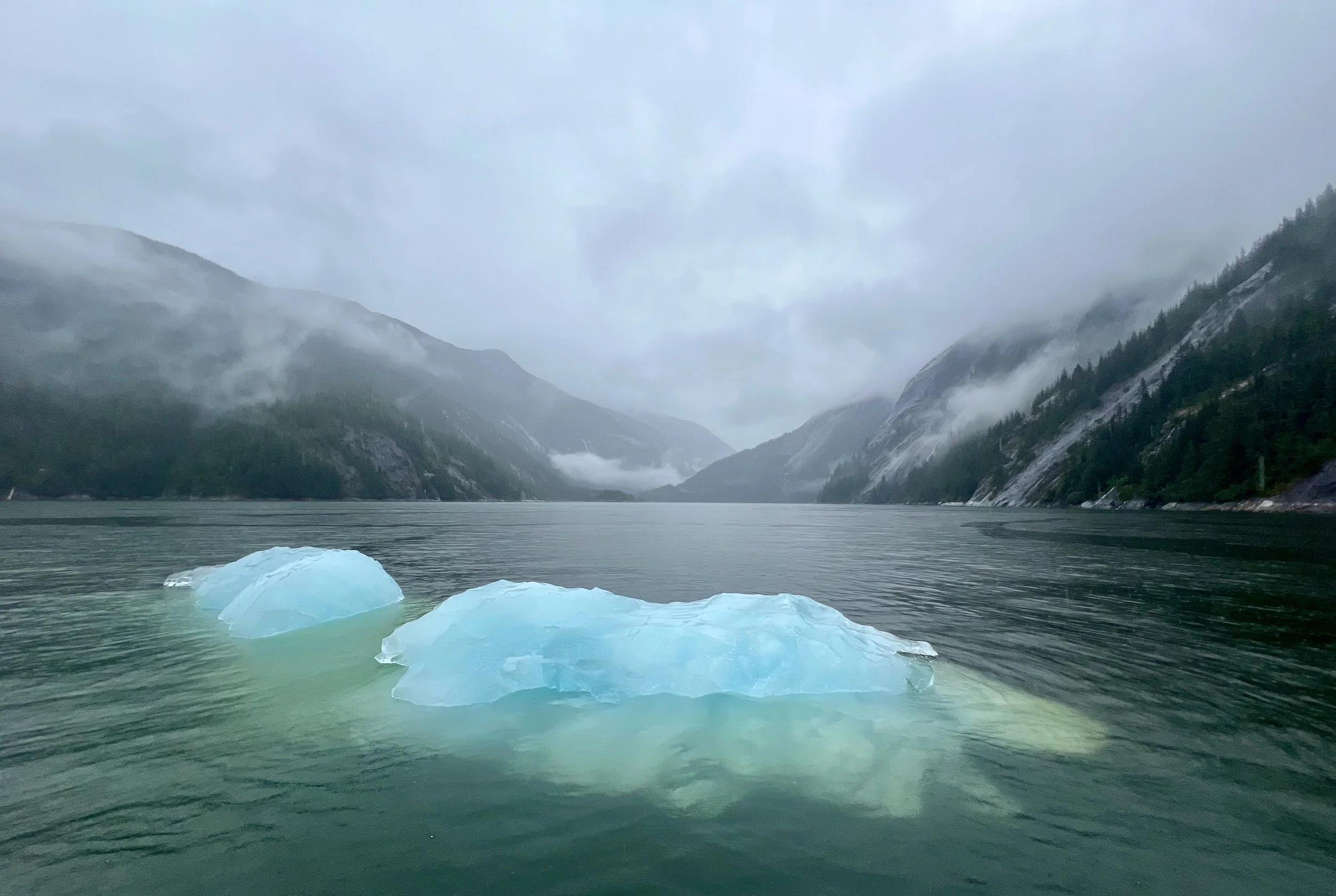 A landscape of a fjord with green water and a floating iceberg, surrounded by foggy, forested mountains with clouds and mist overhead.