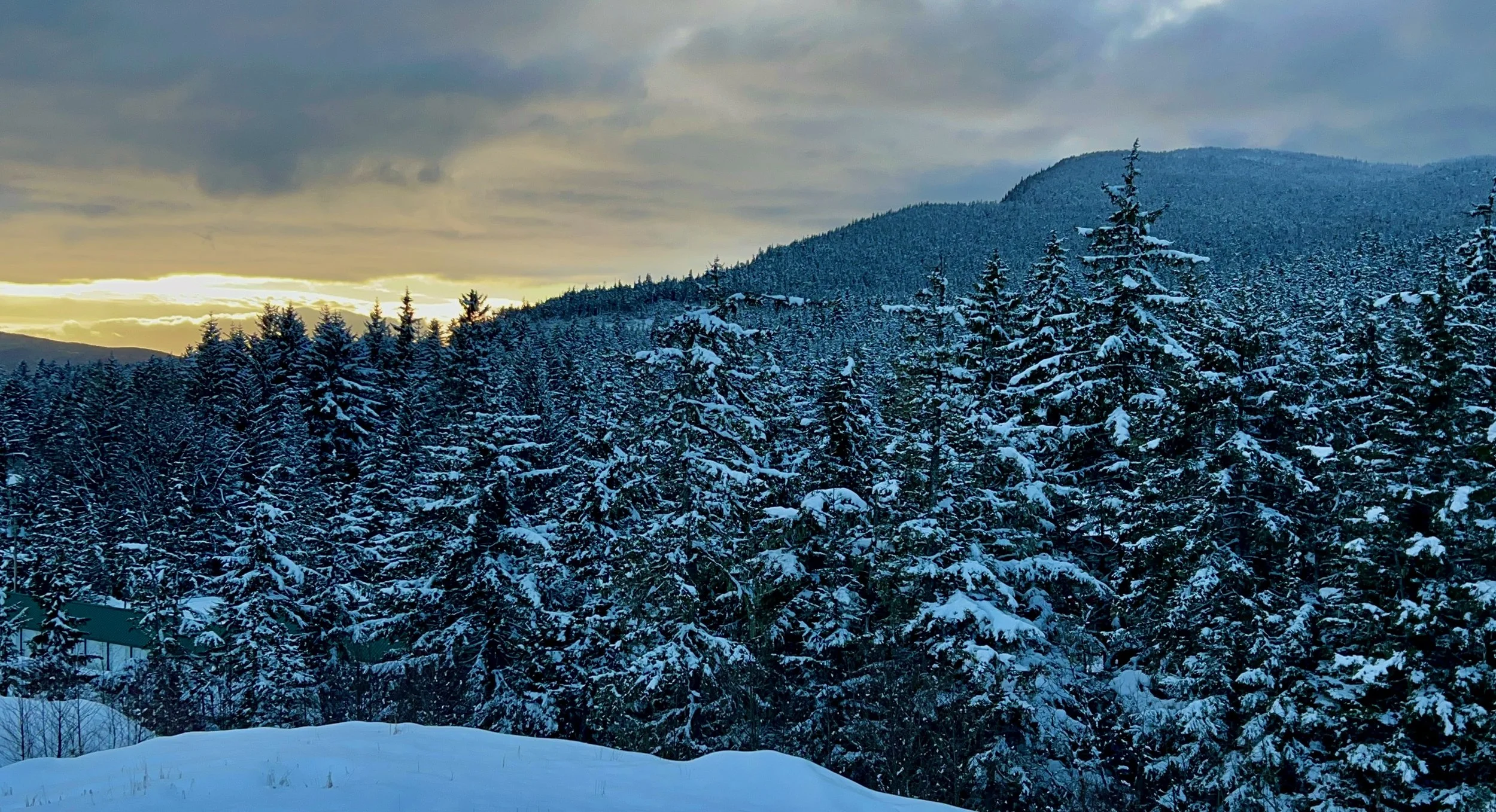 The Winter Reset: A Simple Alaska Routine for Calm, Light, and Momentum