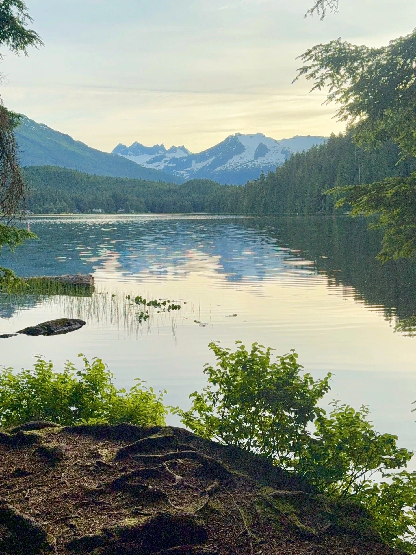 Welcome to Wild Within: A Journey Through Alaska, Ritual, and Meaningful Living