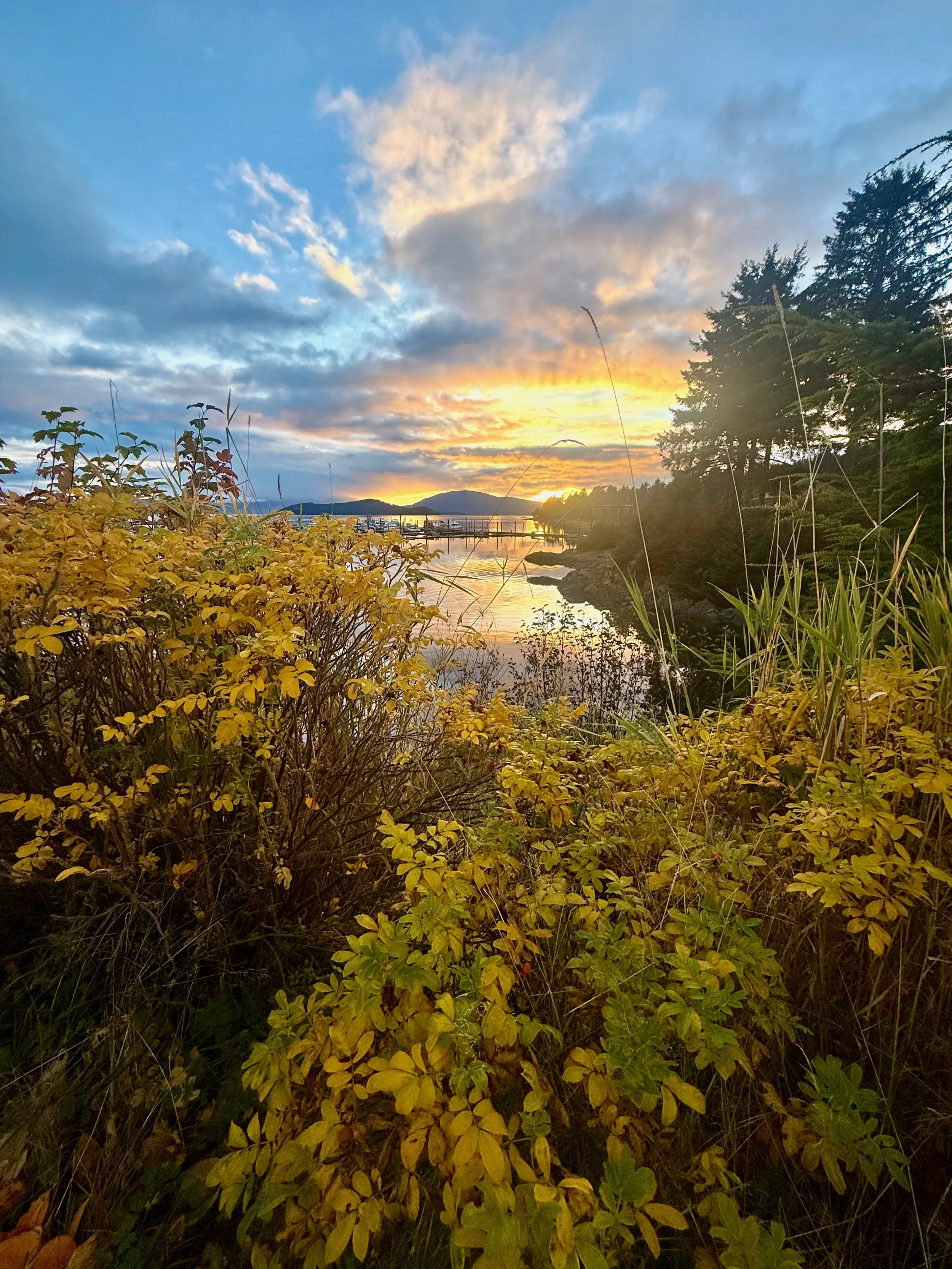 View of a lakeside sunset with the sky filled with clouds, surrounded by trees and yellow shrubbery in the foreground, mountains in the distance, and a dock with boats on the water.