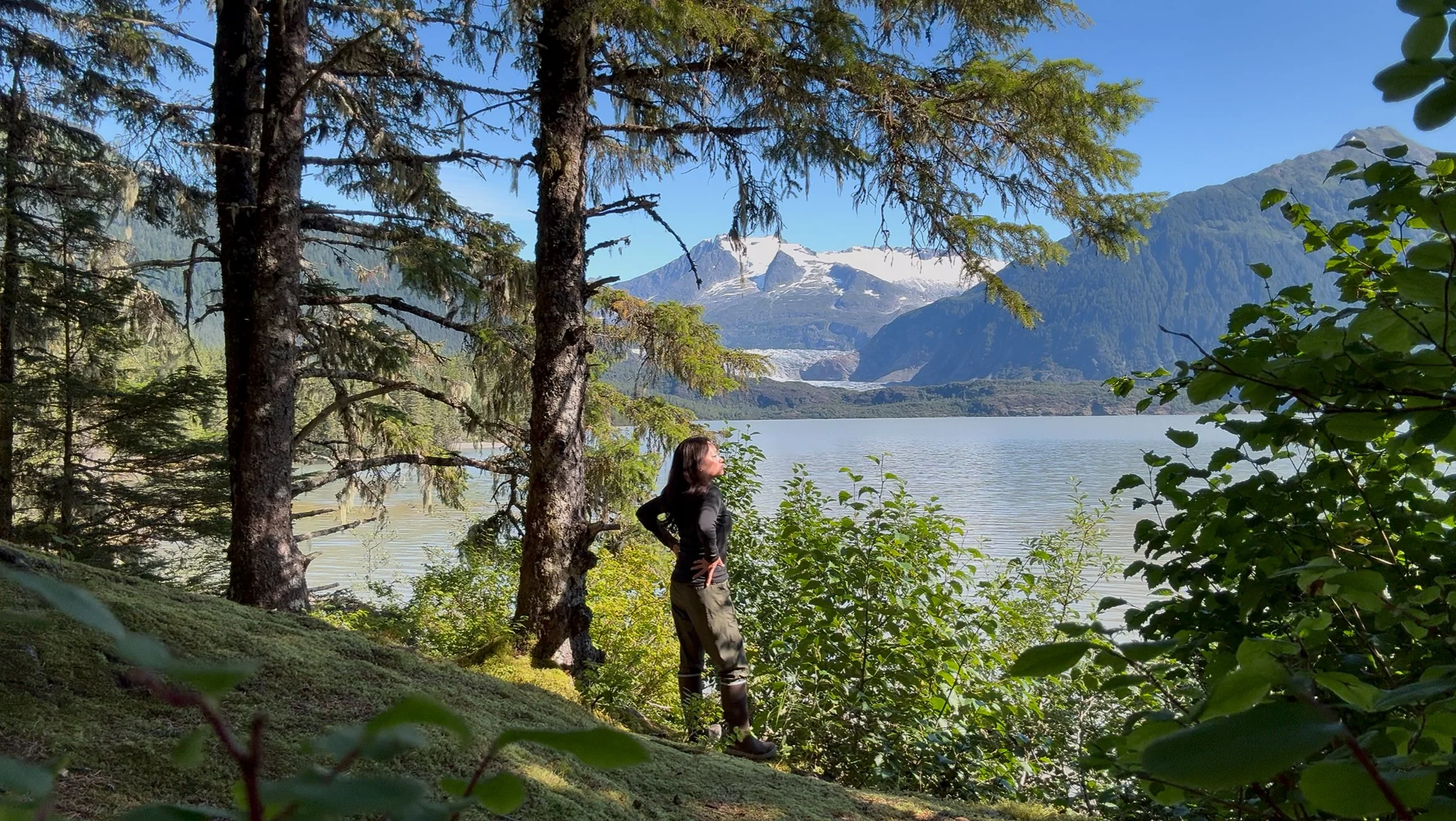 View recent photos.jpeg