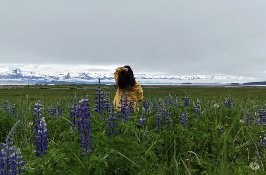 A person with long dark hair wearing a yellow jacket standing in a field of purple flowers, with snow-capped mountains and a cloudy sky in the background.
